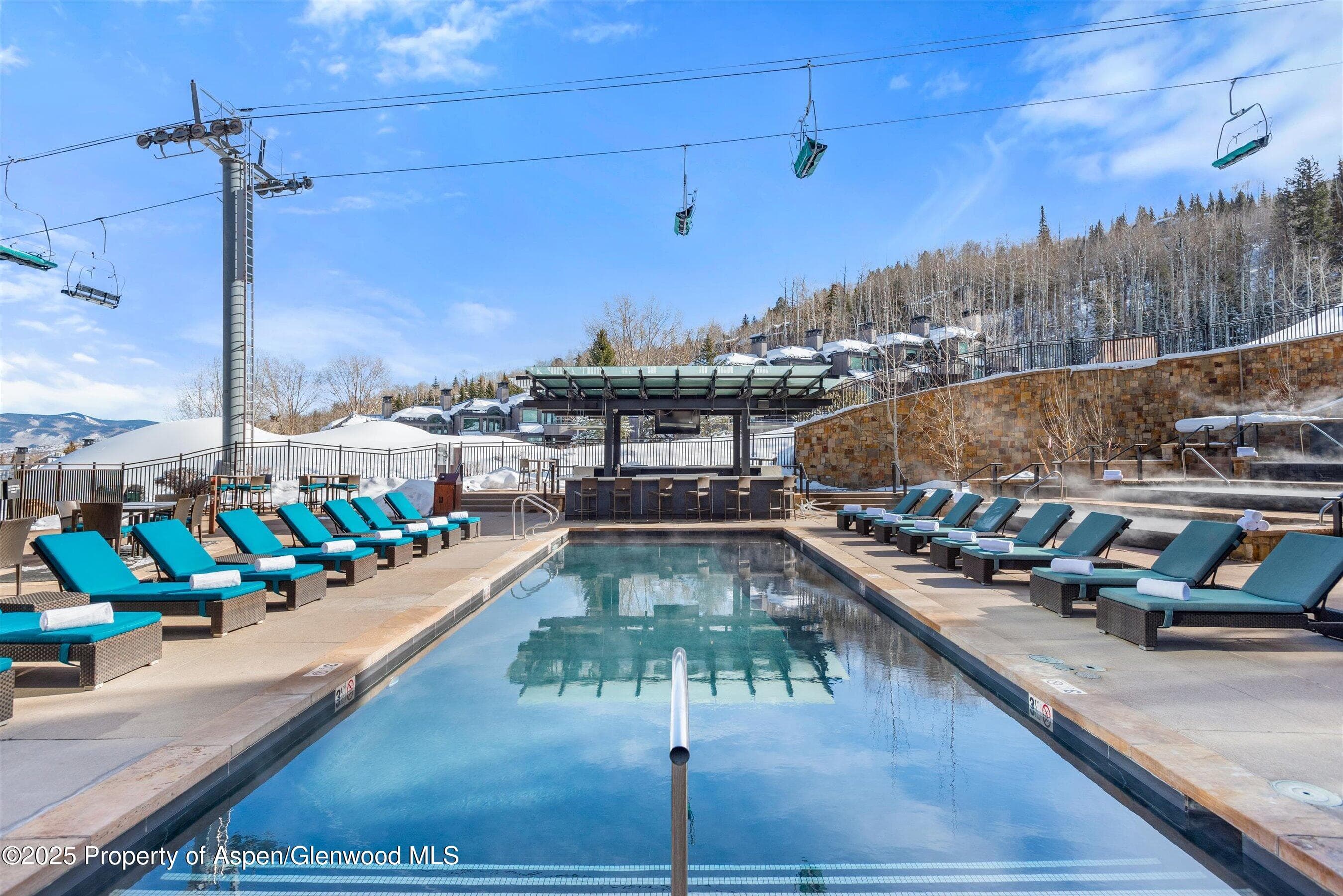 130 wood Road 152, Snowmass Village, CO 81615 - Photo 13