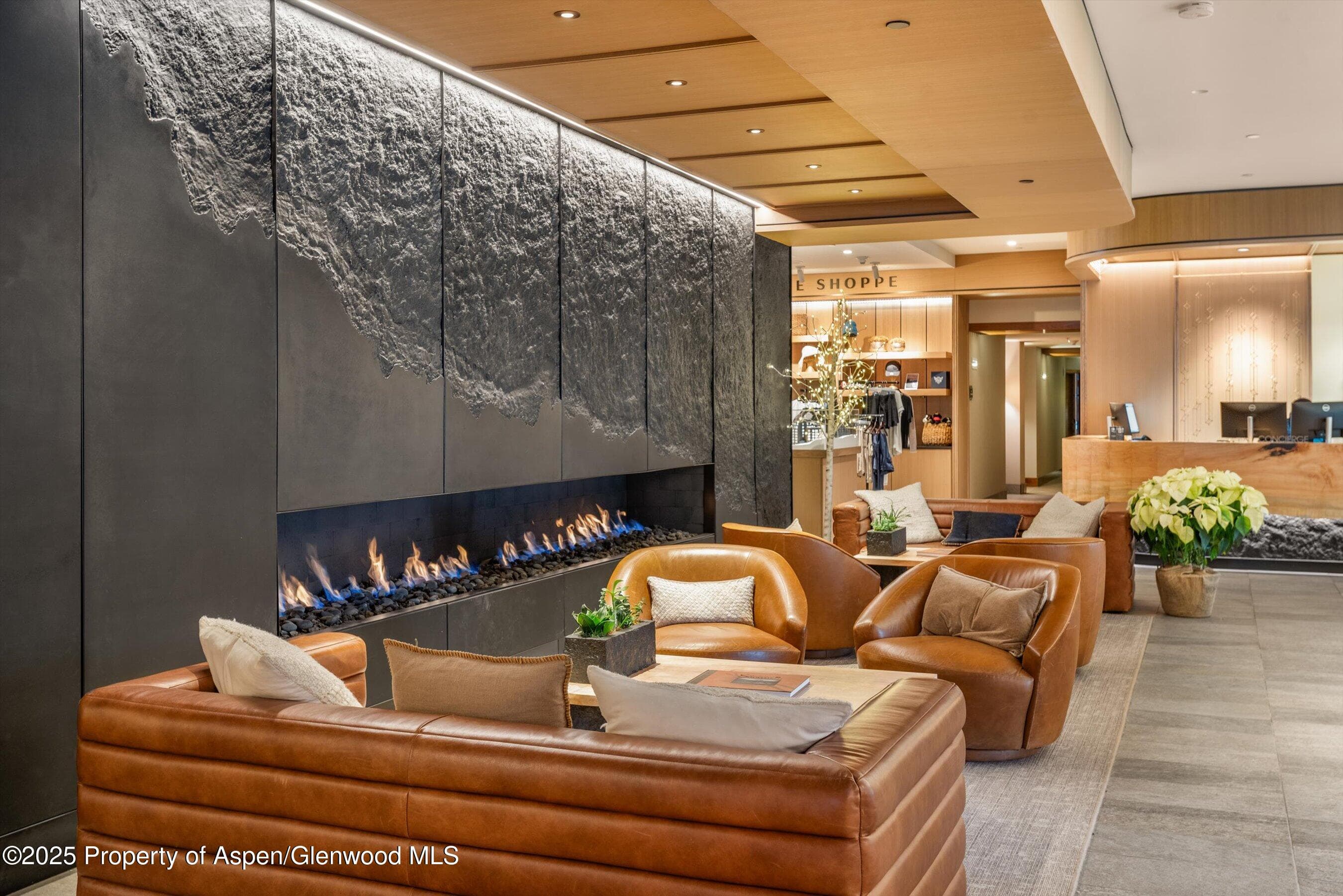 130 wood Road 152, Snowmass Village, CO 81615 - Photo 22