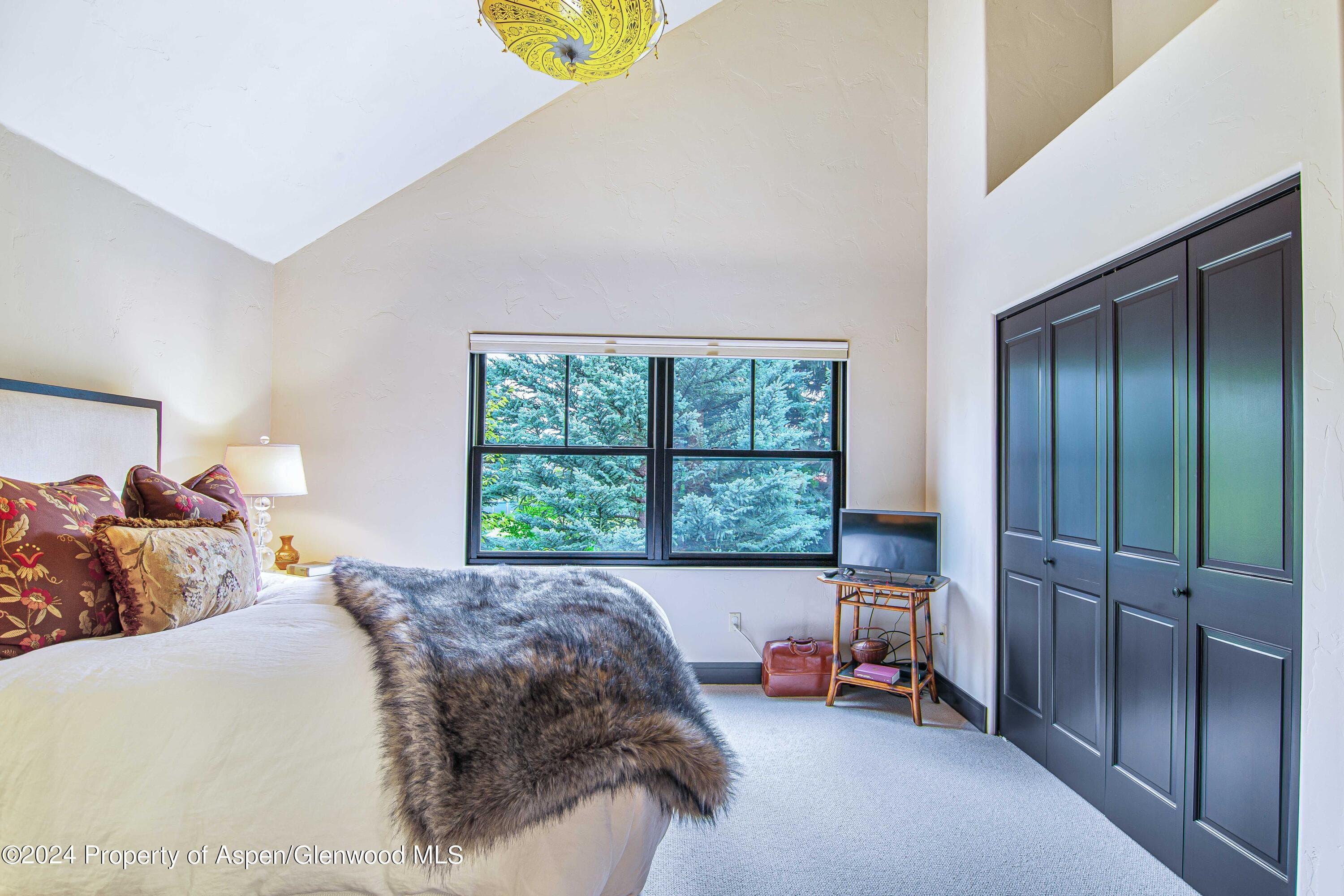 112 Golden Bear Drive, Carbondale, CO 81623 - Photo 29
