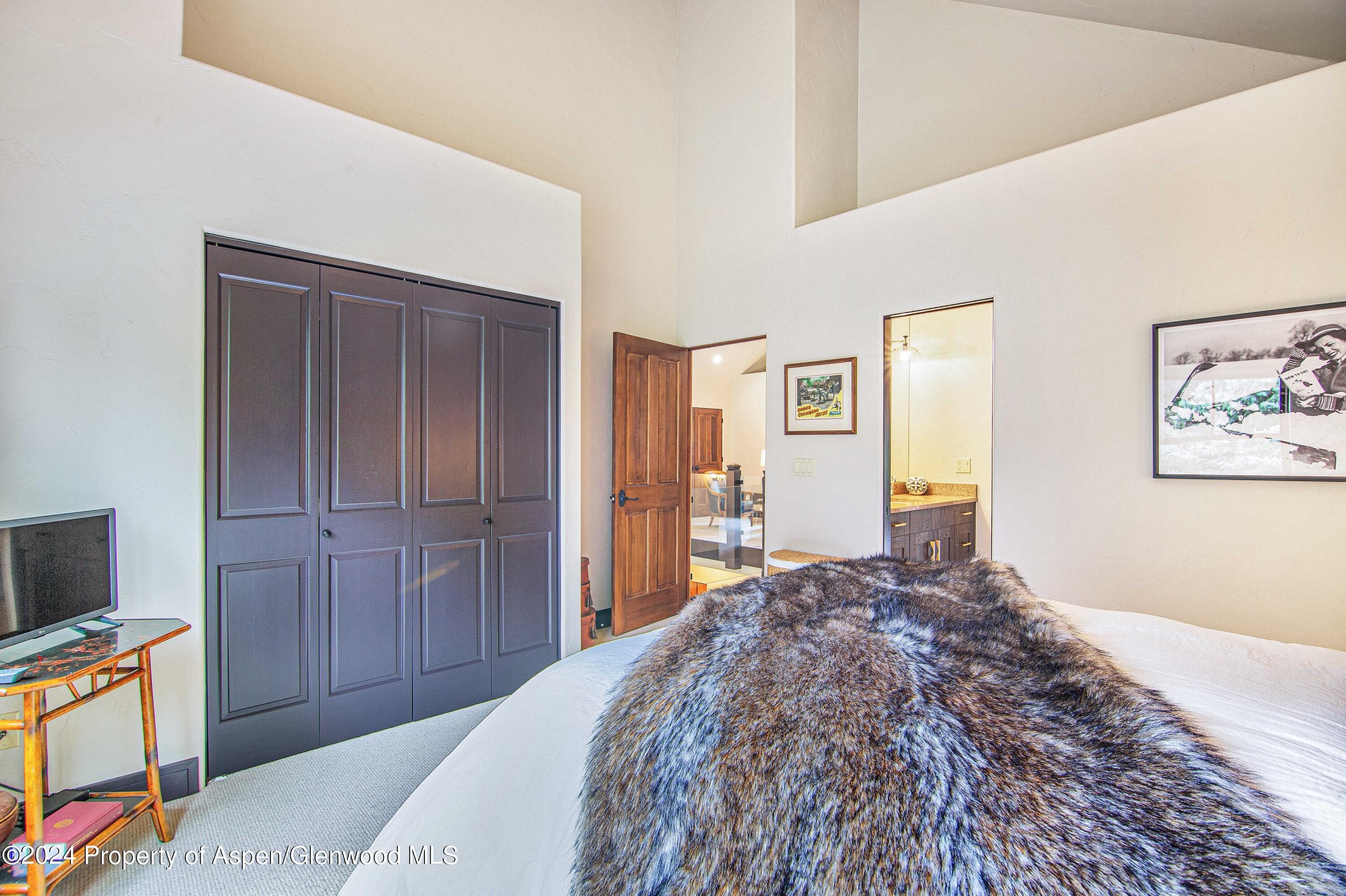 112 Golden Bear Drive, Carbondale, CO 81623 - Photo 33