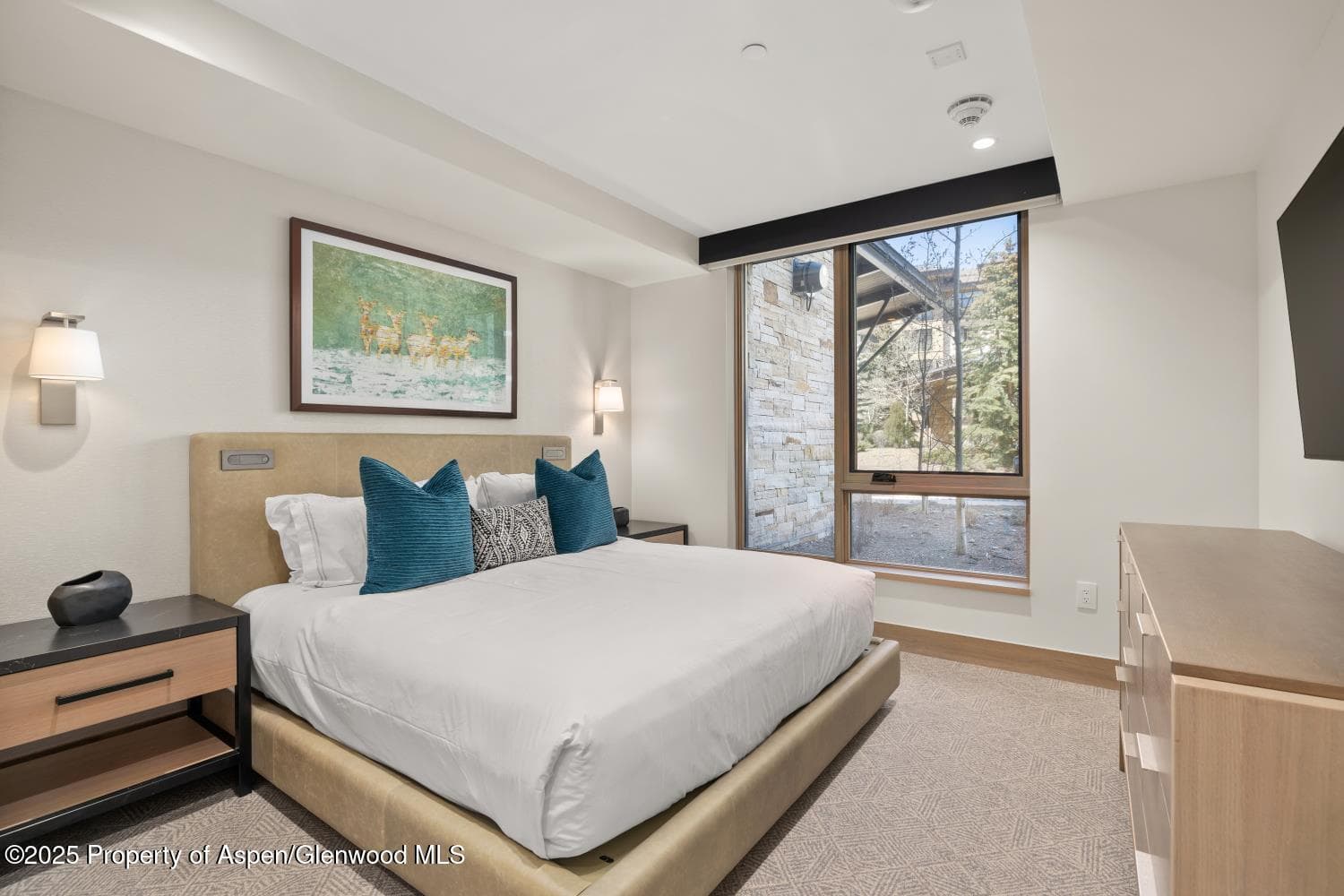 130 wood Road 152, Snowmass Village, CO 81615 - Photo 10