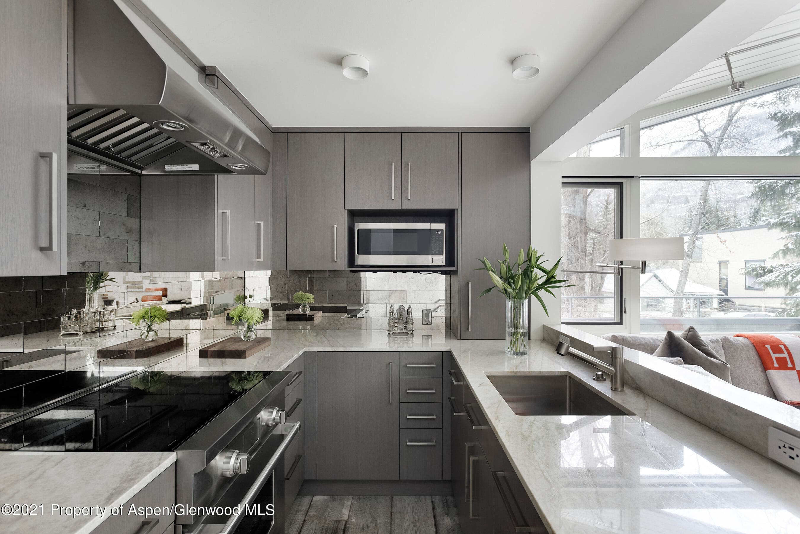 1001 E Cooper Avenue 2, Aspen, CO 81611 - Photo 7