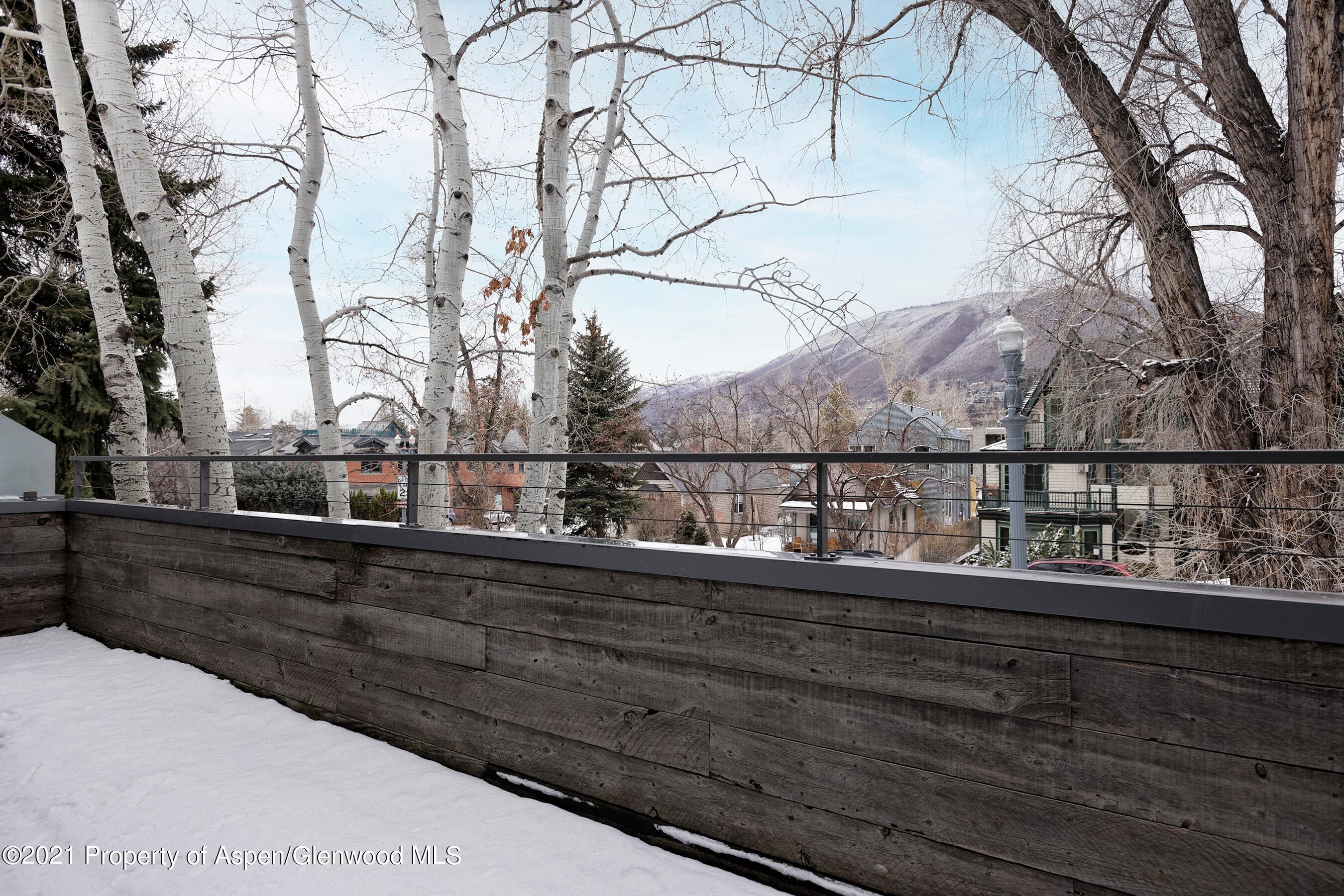 1001 E Cooper Avenue 2, Aspen, CO 81611 - Photo 18