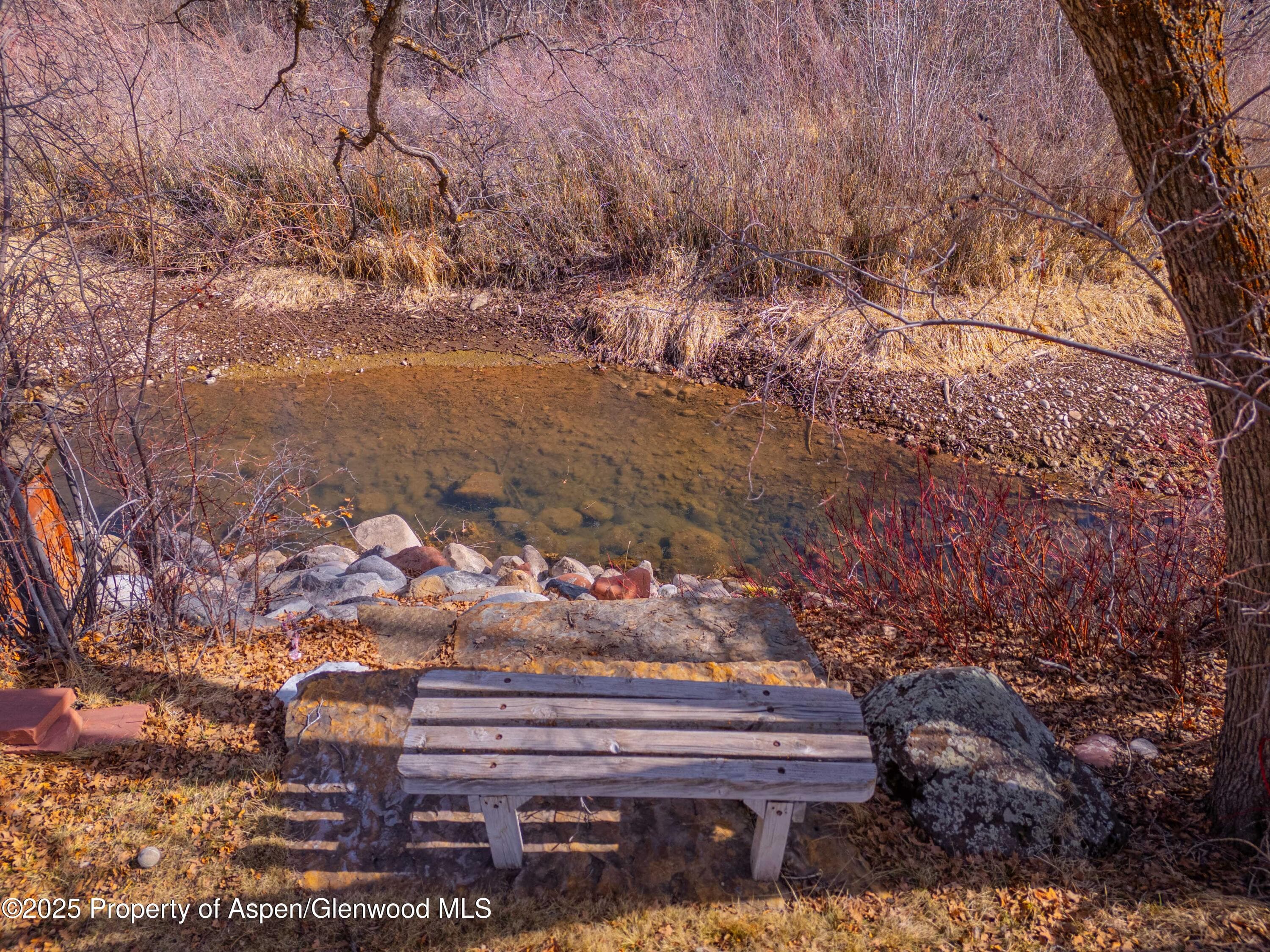0044 Hooks Lane, Basalt, CO 81621 - Photo 5