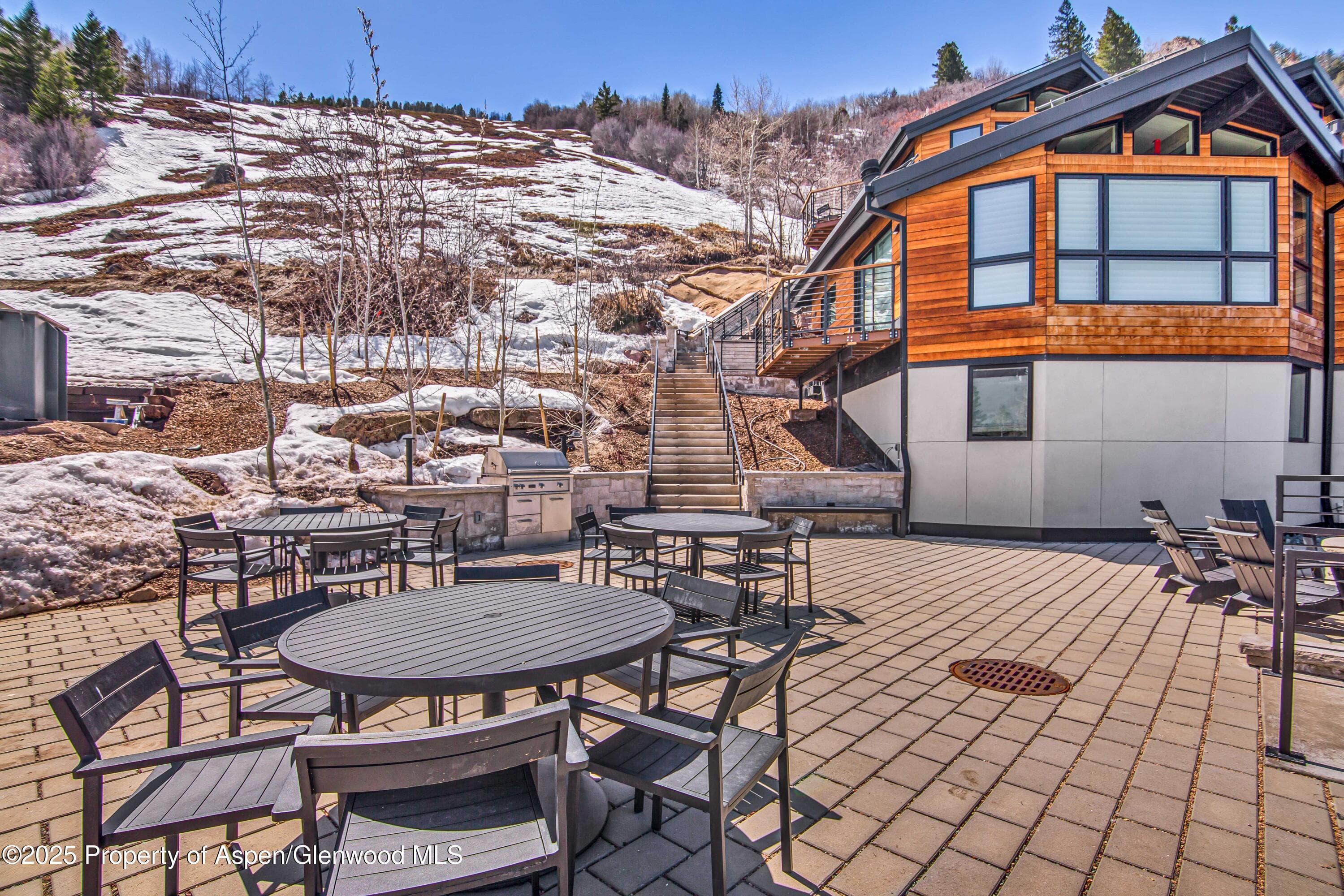 809 S Aspen Street 5&6, Aspen, CO 81611 - Photo 39