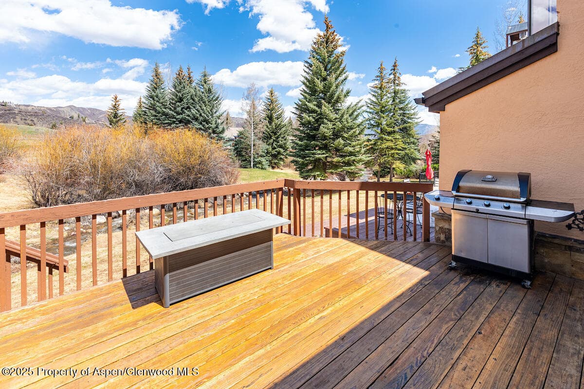 115 Harleston Green 62, Snowmass Village, CO 81615 - Photo 9