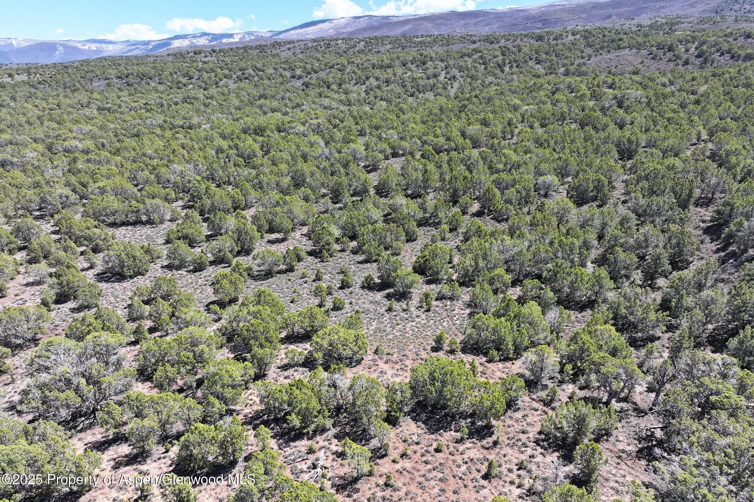 TBD TBD, Mesa, CO 81643 - Photo 9