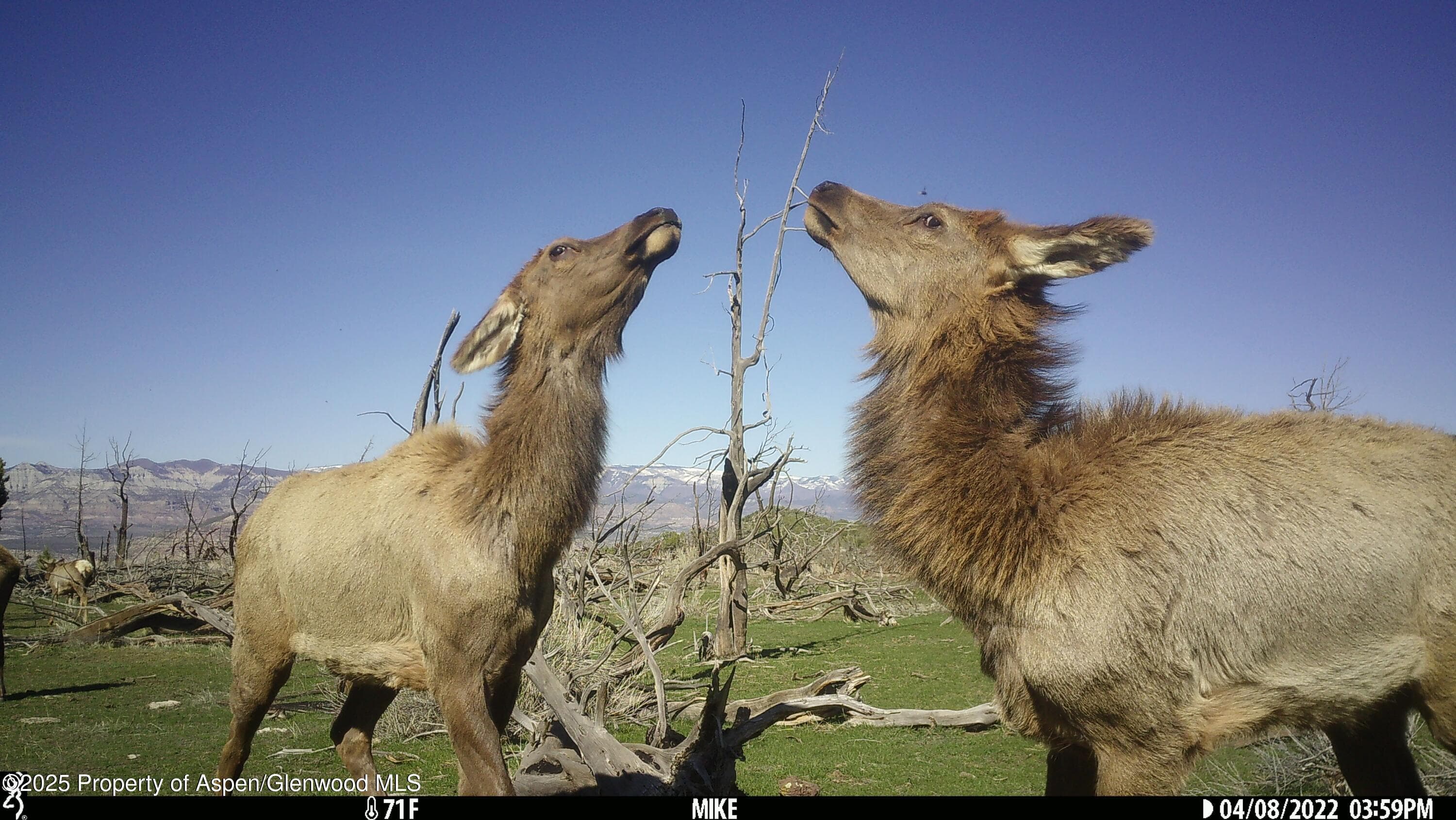 TBD TBD, Mesa, CO 81643 - Photo 15