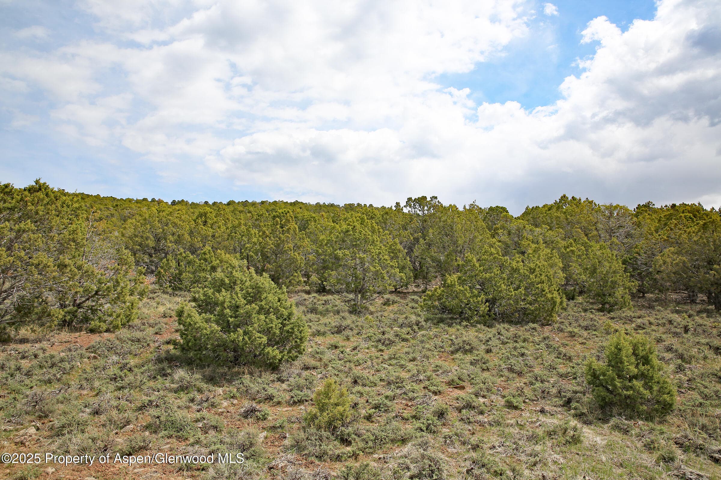 TBD KK Road, Molina, CO 81646 - Photo 6