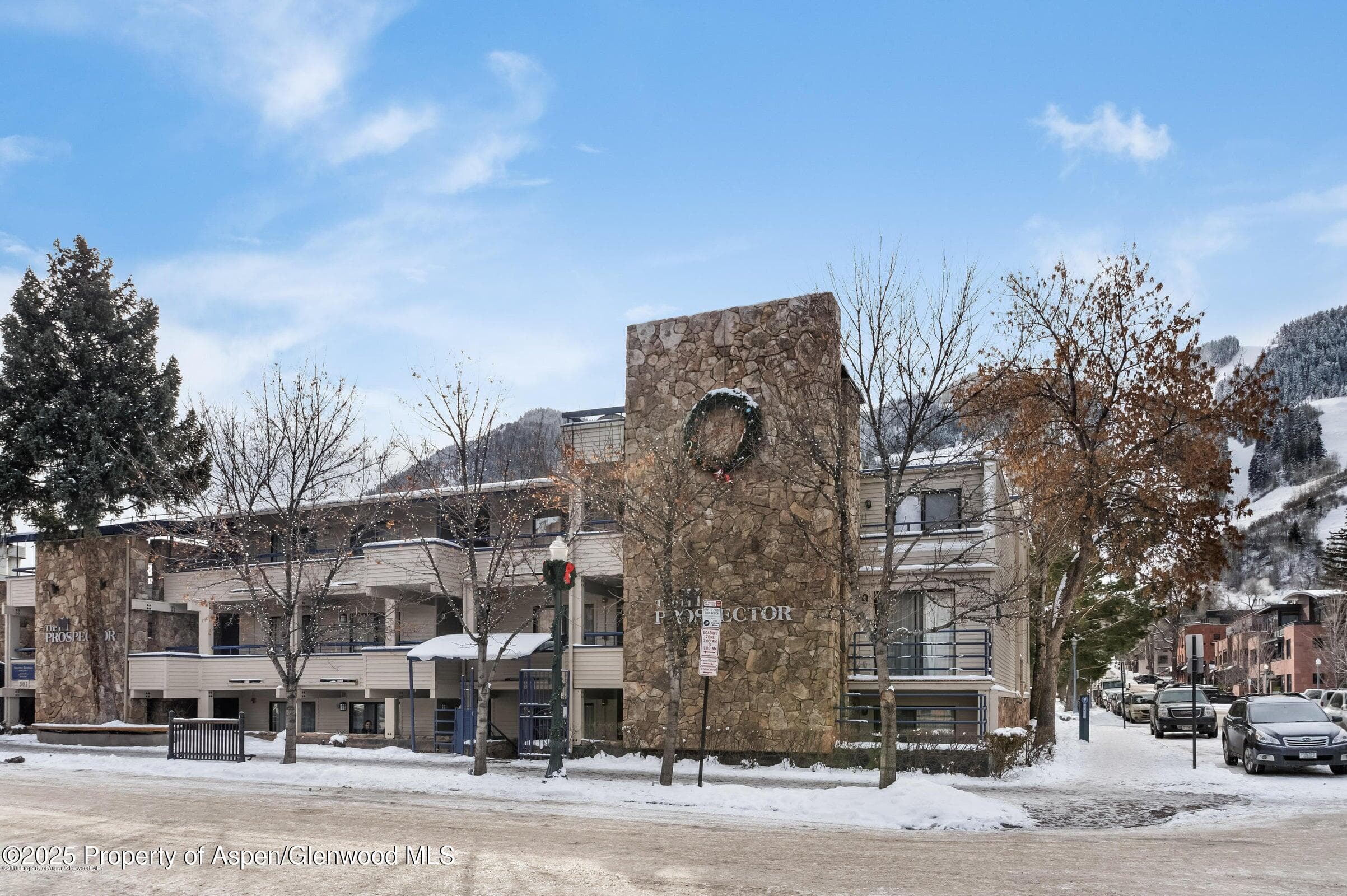 301 E Hyman Avenue 202, Aspen, CO 81611 - Photo 22