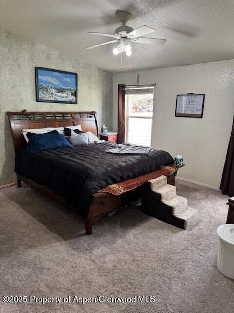 549 E Washington Avenue, Hayden, CO 81639 - Photo 23