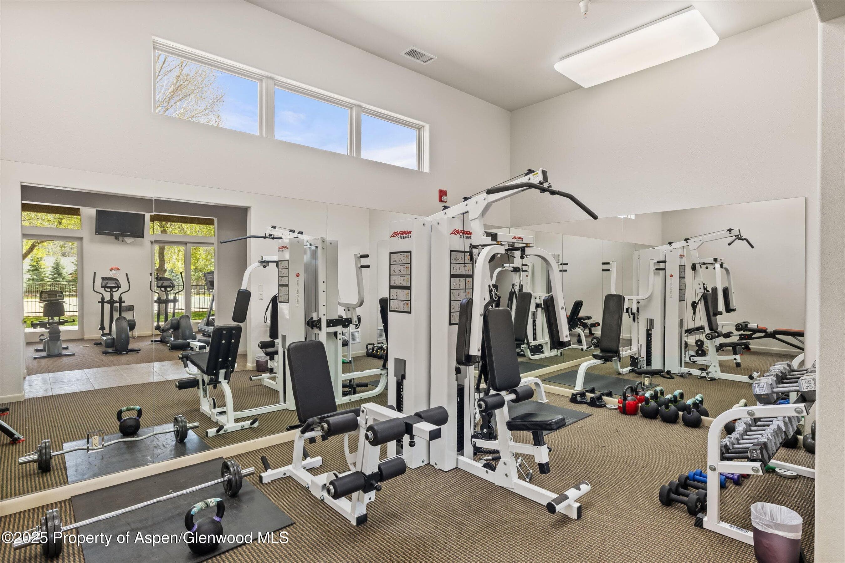 160 Equestrian Way, Carbondale, CO 81623 - Photo 34
