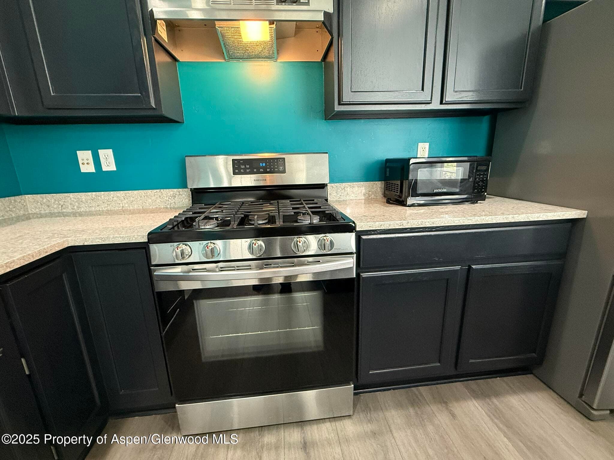 1440 SUMMERVILLE Alley, Glenwood Springs, CO 81601 - Photo 9