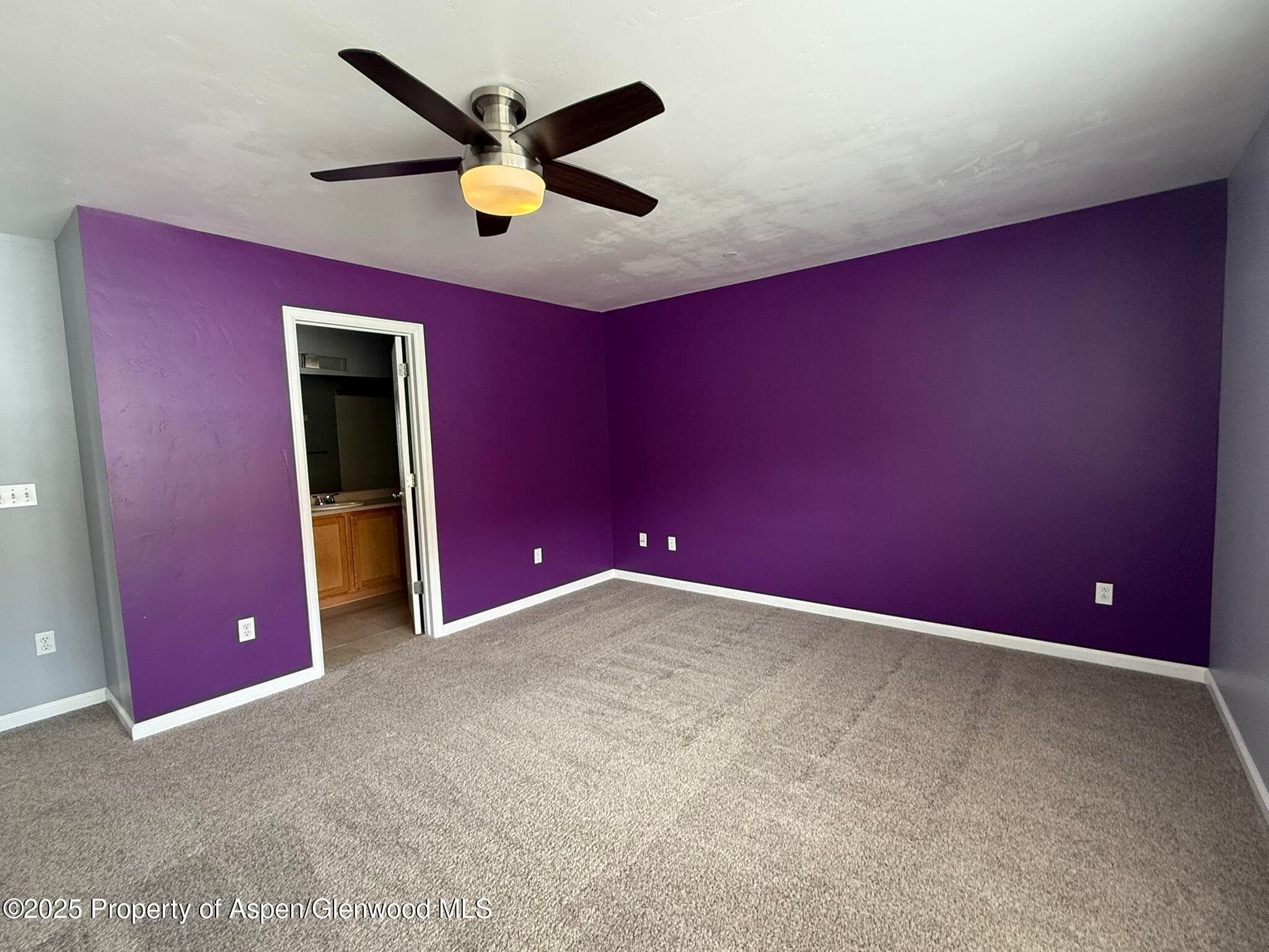 1440 SUMMERVILLE Alley, Glenwood Springs, CO 81601 - Photo 12