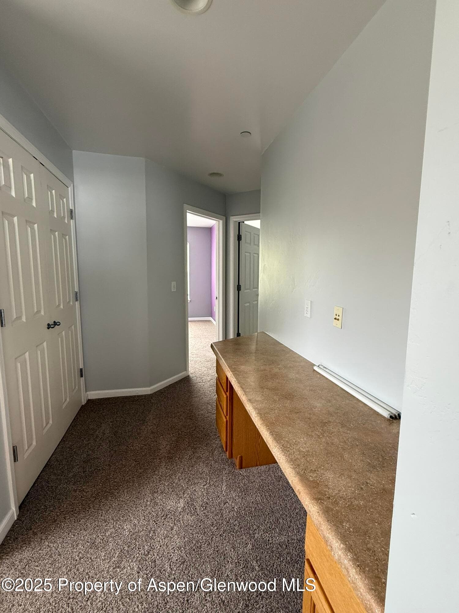 1440 SUMMERVILLE Alley, Glenwood Springs, CO 81601 - Photo 23