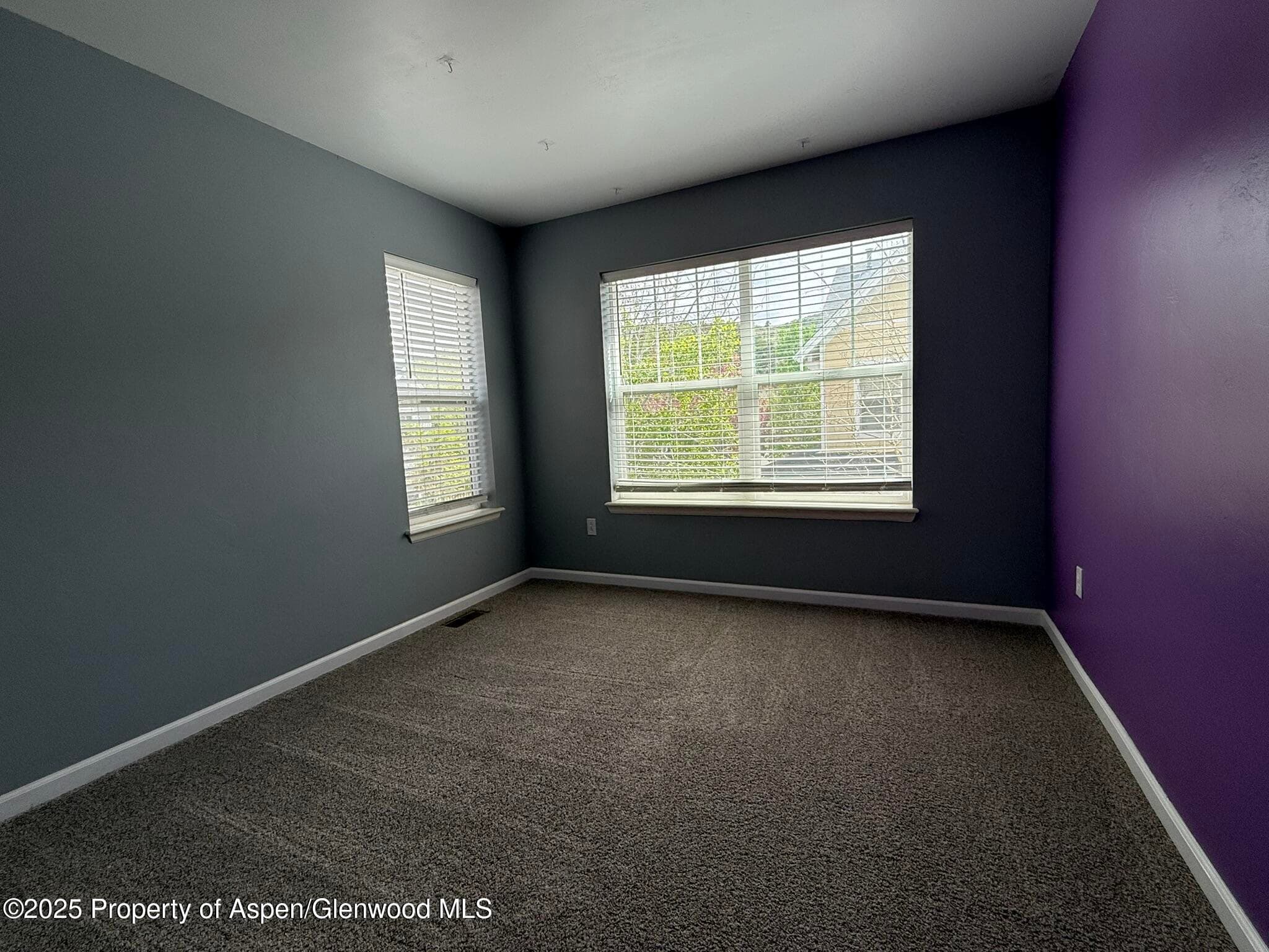1440 SUMMERVILLE Alley, Glenwood Springs, CO 81601 - Photo 17