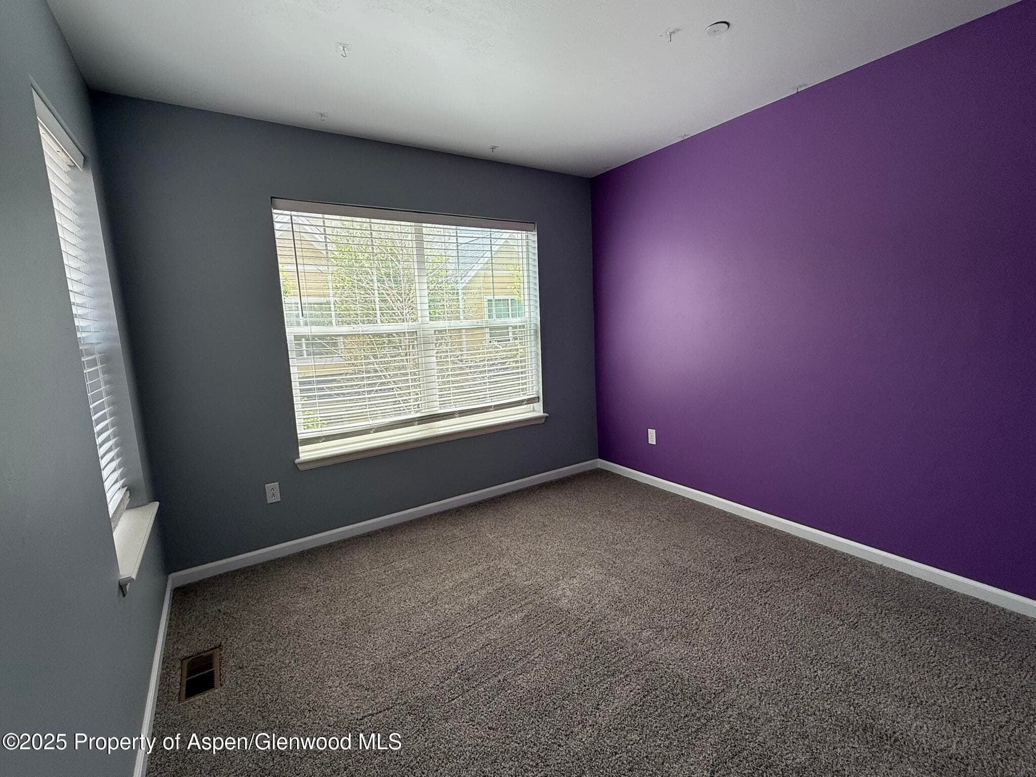 1440 SUMMERVILLE Alley, Glenwood Springs, CO 81601 - Photo 20