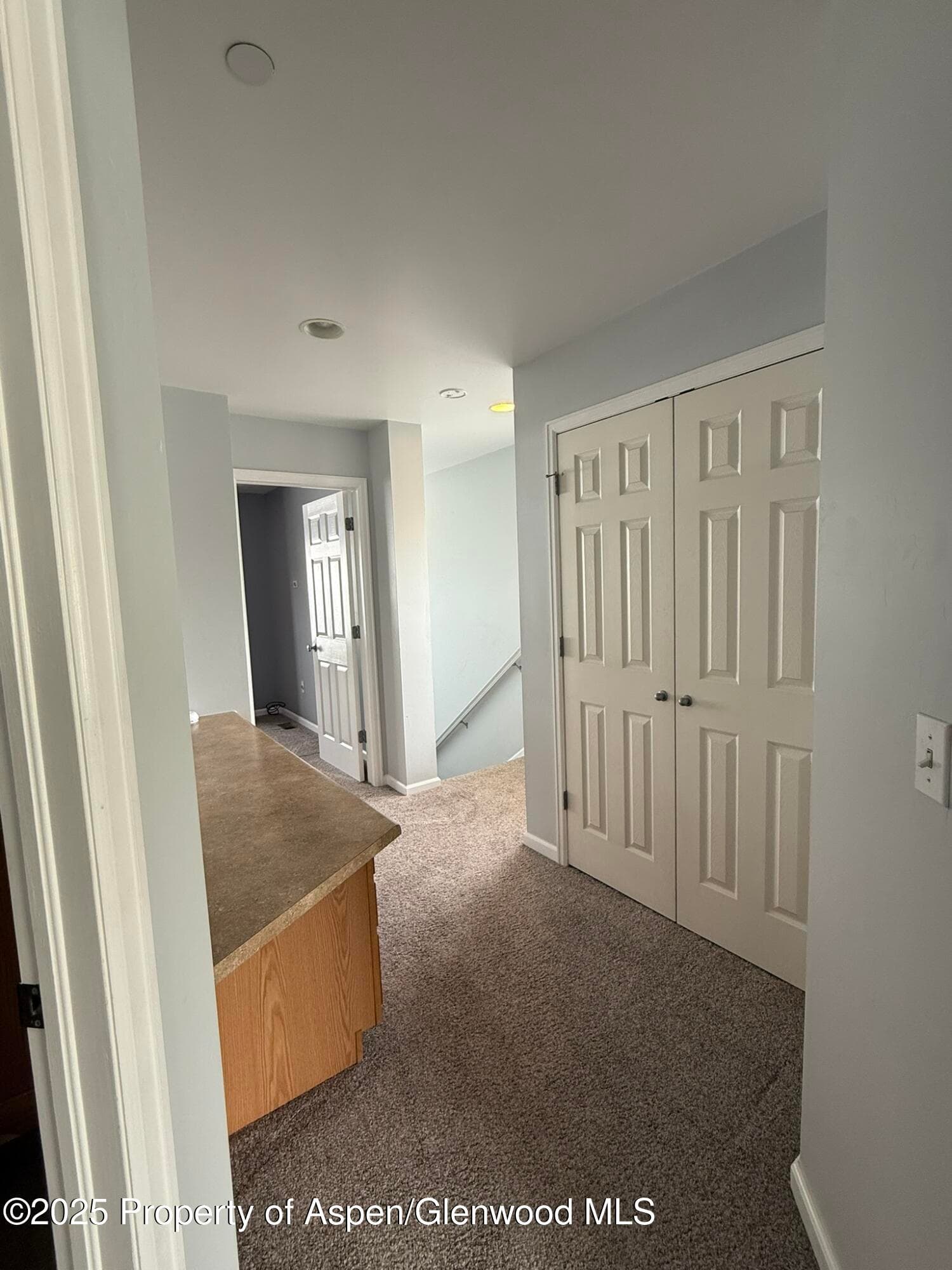 1440 SUMMERVILLE Alley, Glenwood Springs, CO 81601 - Photo 21