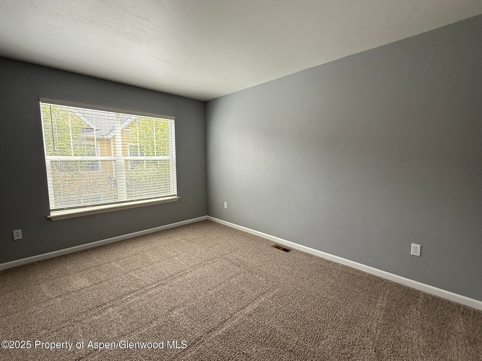 1440 SUMMERVILLE Alley, Glenwood Springs, CO 81601 - Photo 22
