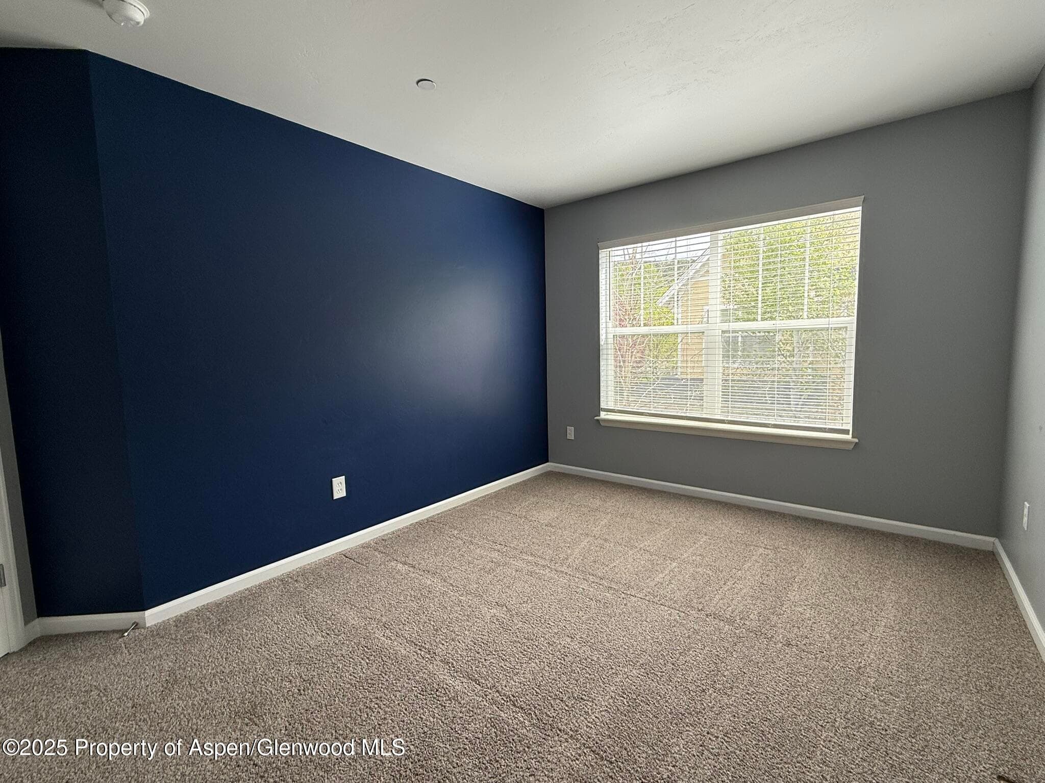 1440 SUMMERVILLE Alley, Glenwood Springs, CO 81601 - Photo 26