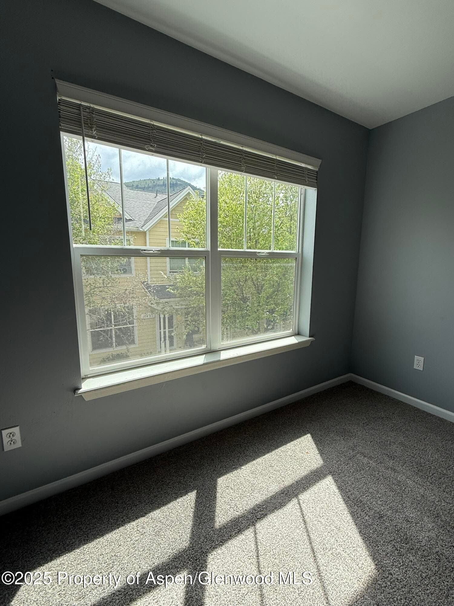 1440 SUMMERVILLE Alley, Glenwood Springs, CO 81601 - Photo 28