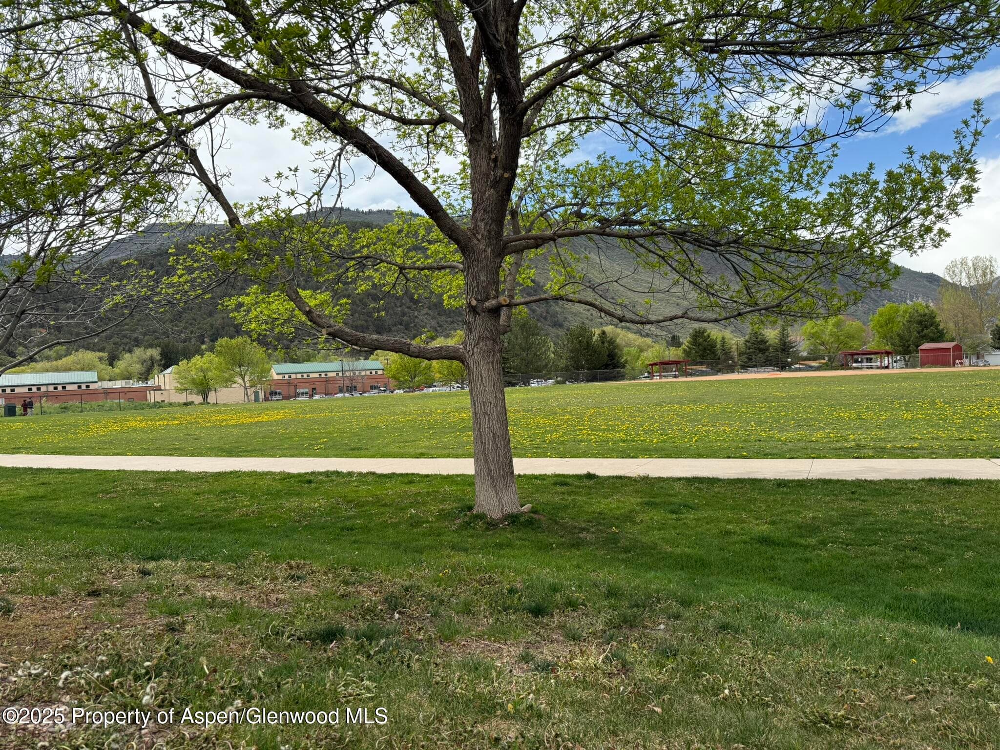 1440 SUMMERVILLE Alley, Glenwood Springs, CO 81601 - Photo 33