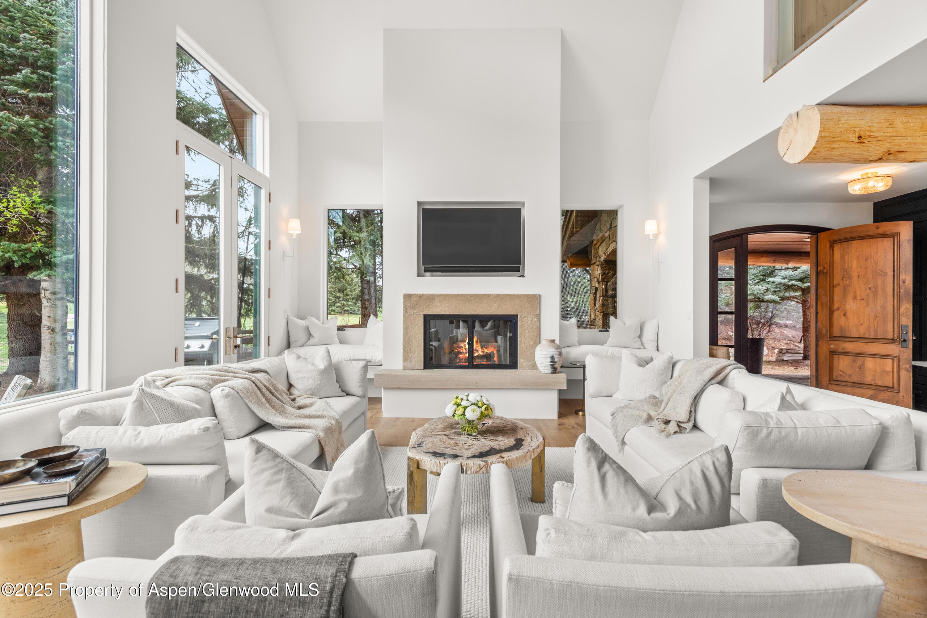 1495 Homestake Drive 2, Aspen, CO 81611 - Photo 8