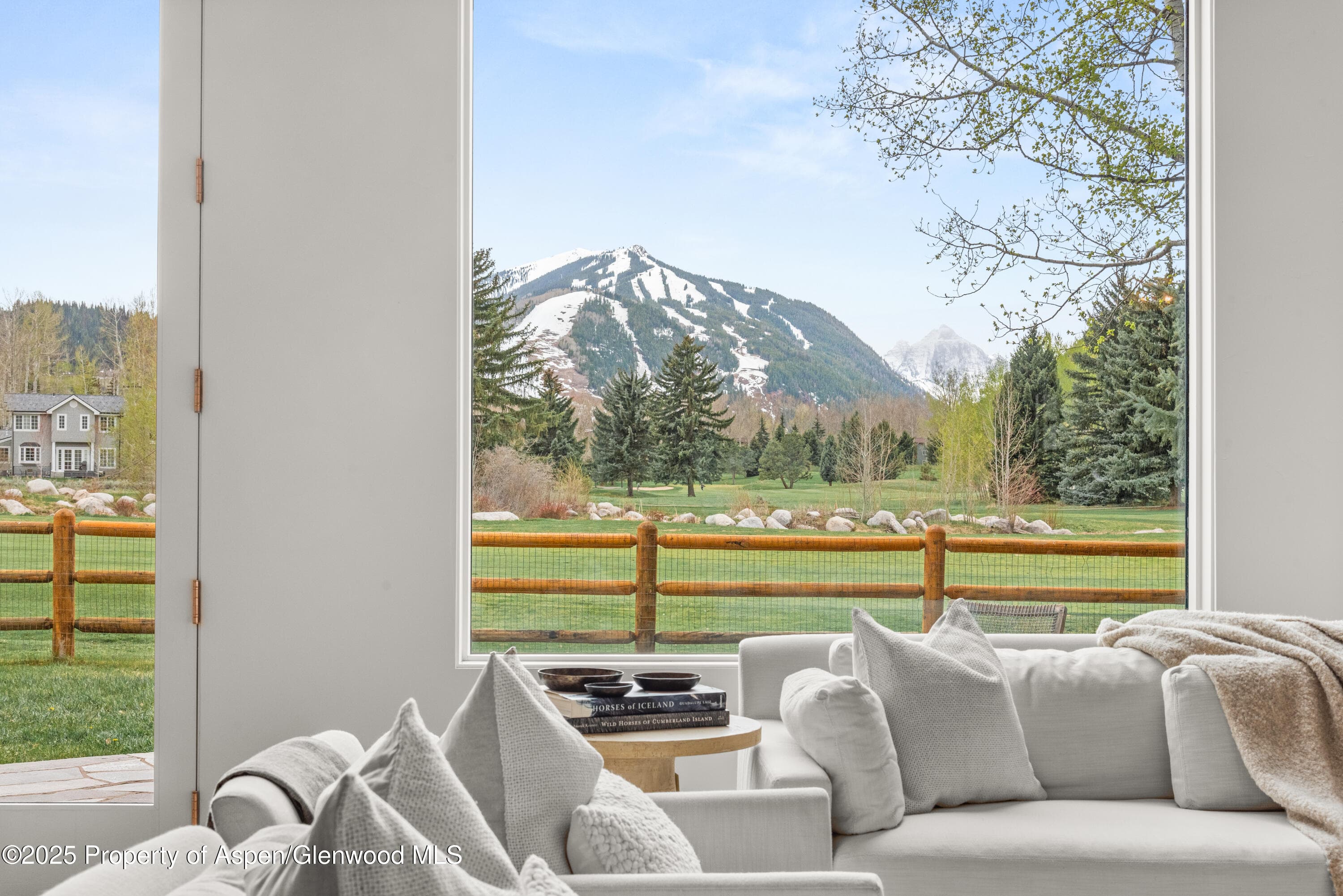 1495 Homestake Drive 2, Aspen, CO 81611 - Photo 20