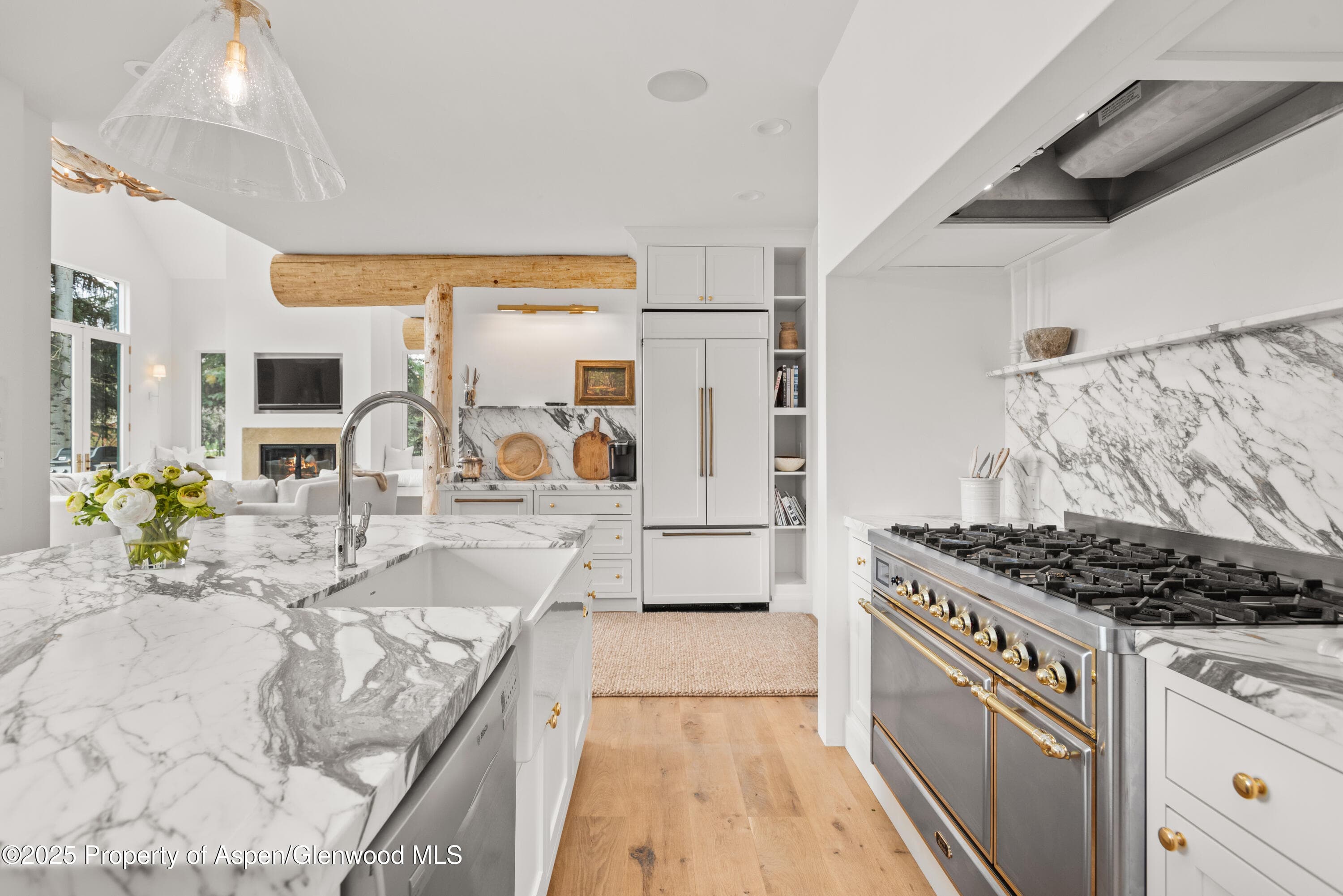 1495 Homestake Drive 2, Aspen, CO 81611 - Photo 23