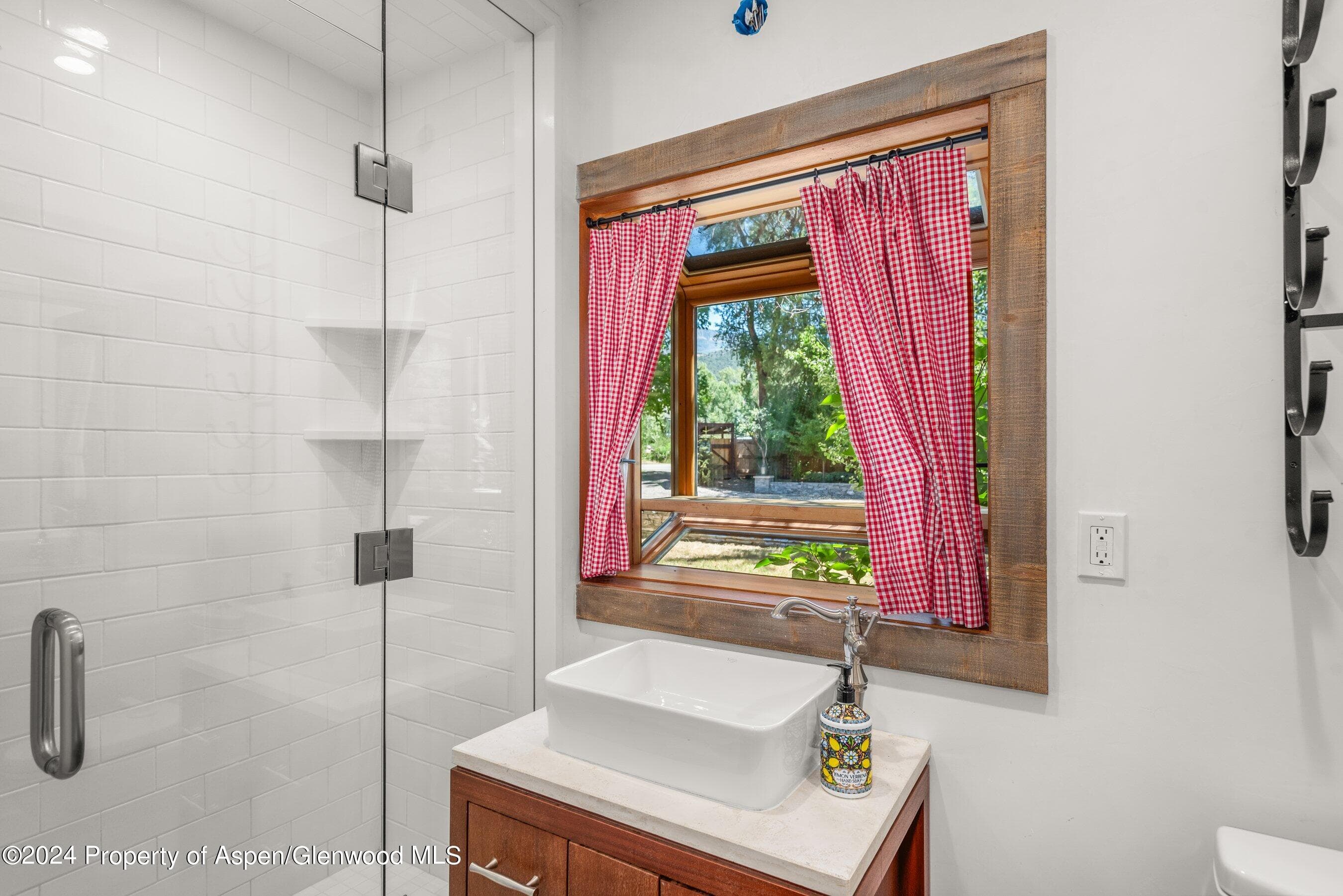 0969 Willits Lane, Basalt, CO 81621 - Photo 20