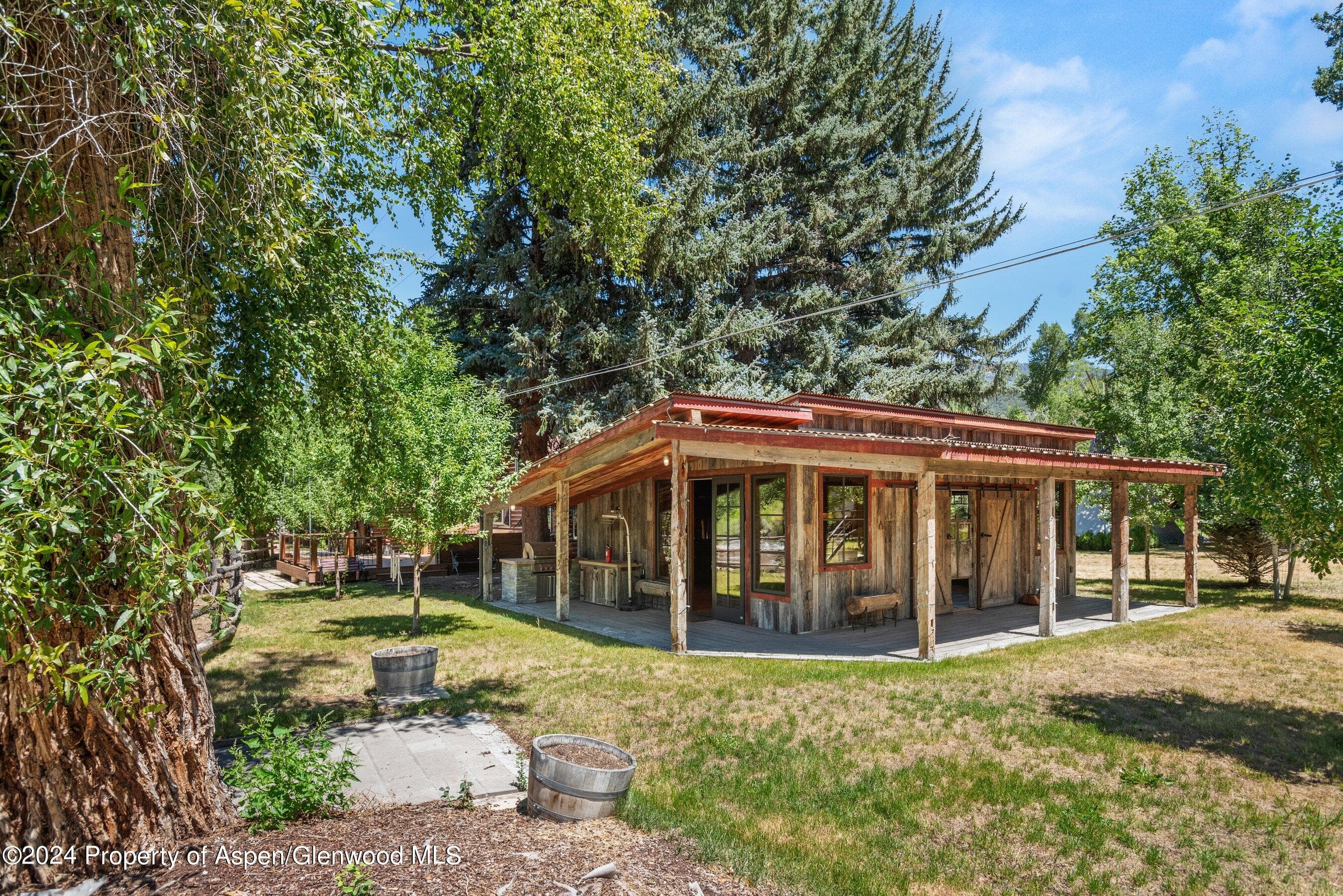 0969 Willits Lane, Basalt, CO 81621 - Photo 49