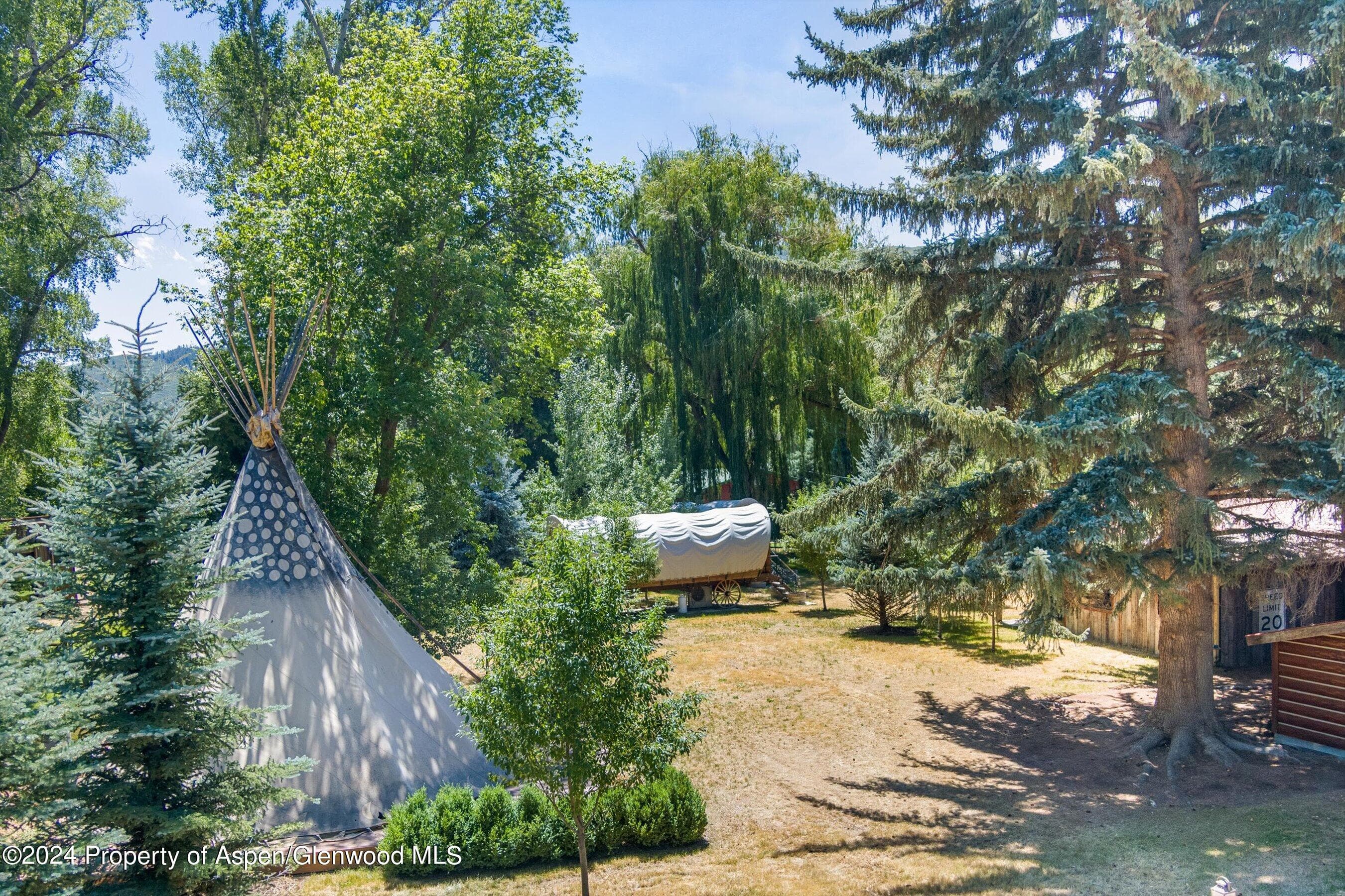 0969 Willits Lane, Basalt, CO 81621 - Photo 60
