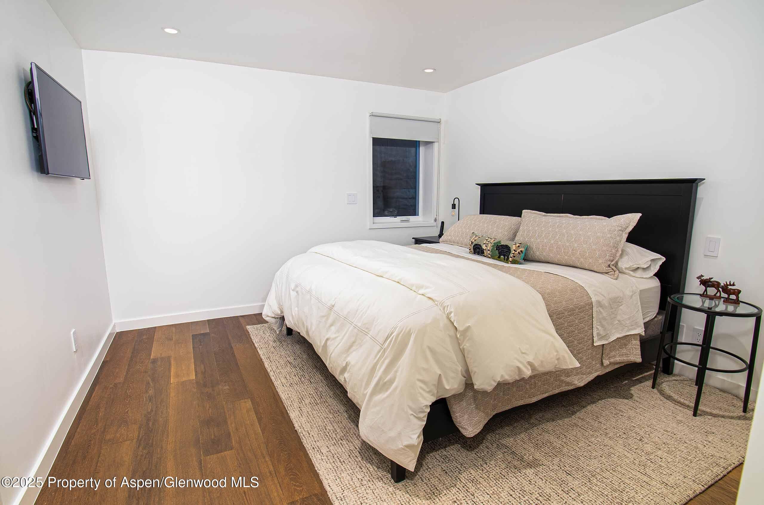 1018 E HYMAN Avenue Unit 1, Aspen, CO 81611 - Photo 10