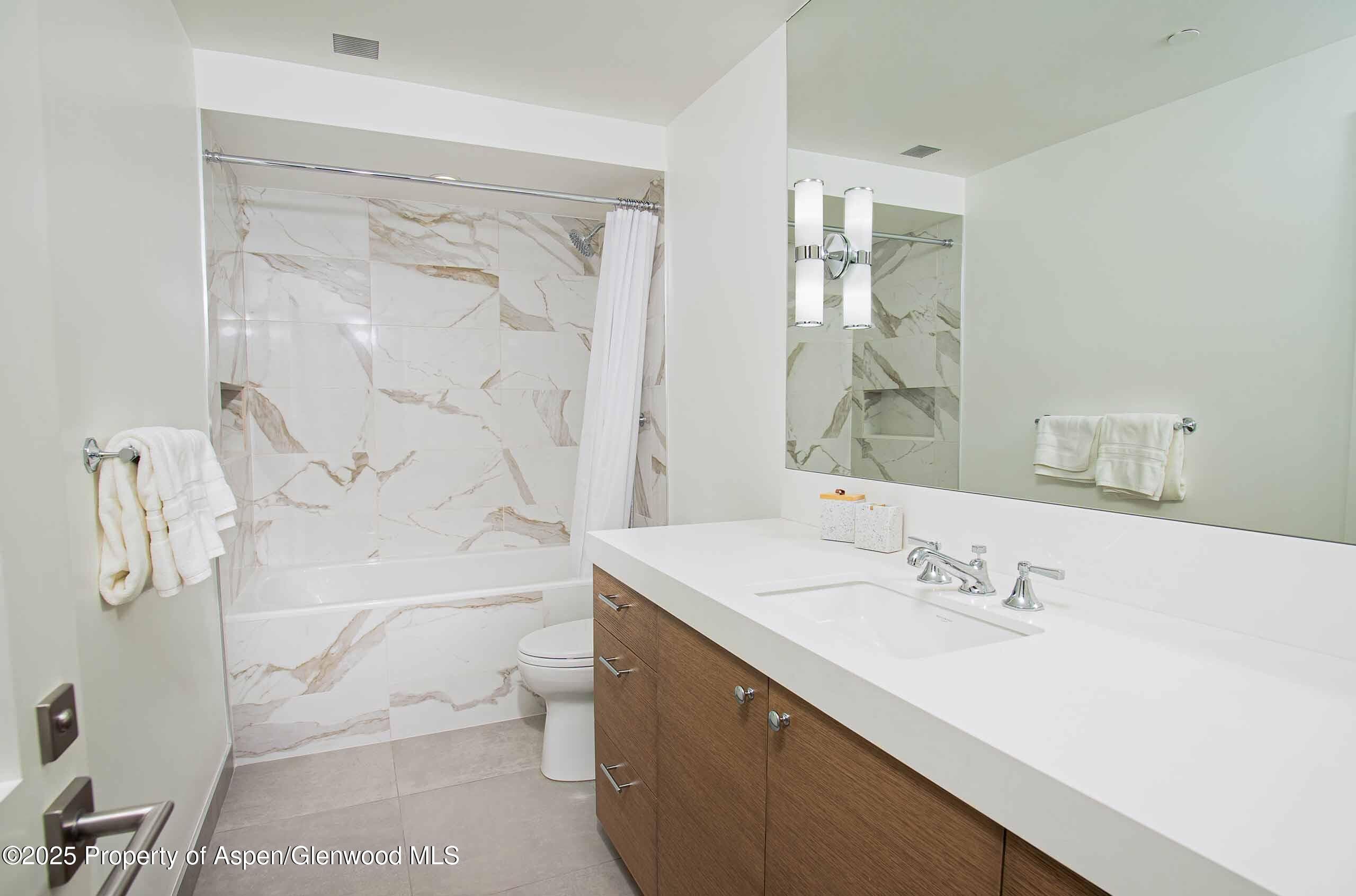 1018 E HYMAN Avenue Unit 1, Aspen, CO 81611 - Photo 11