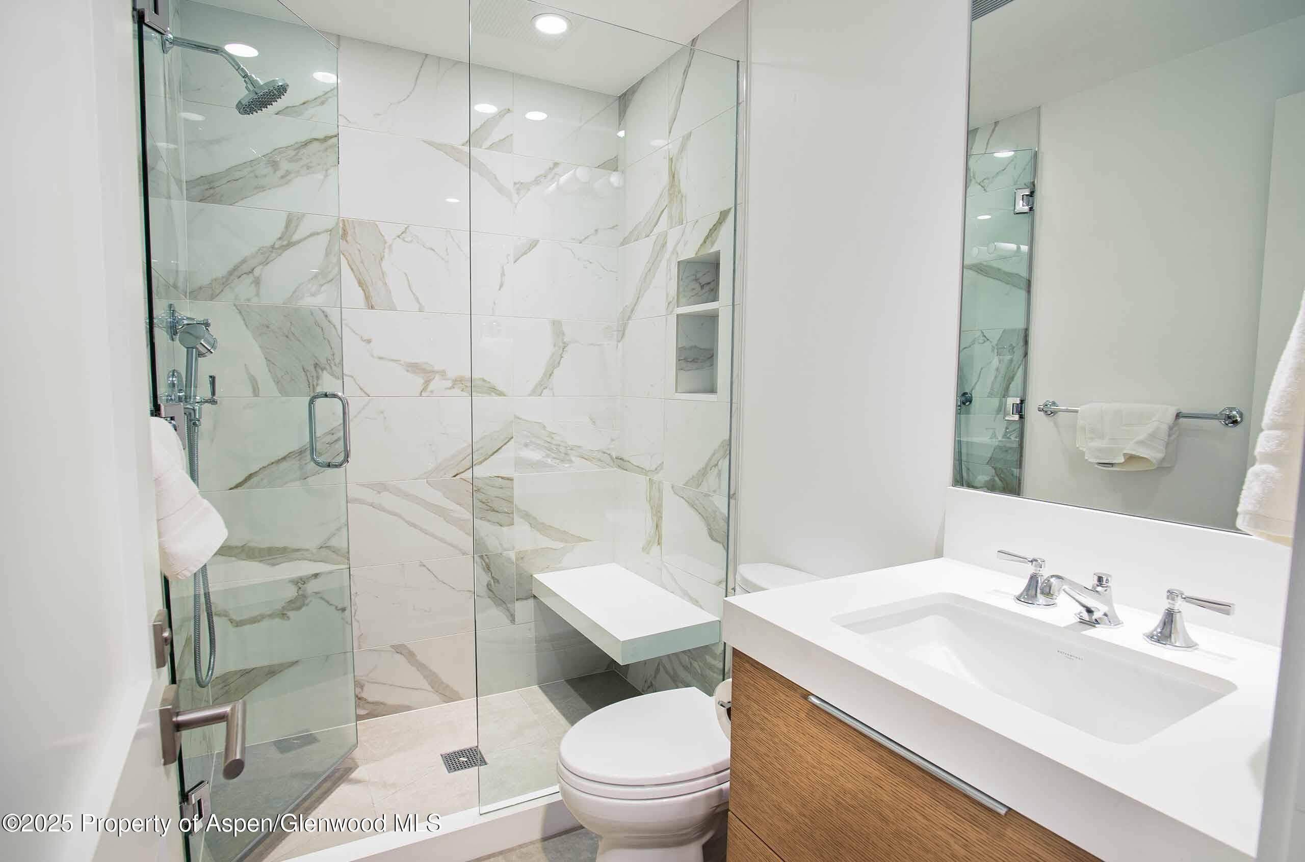1018 E HYMAN Avenue Unit 1, Aspen, CO 81611 - Photo 12