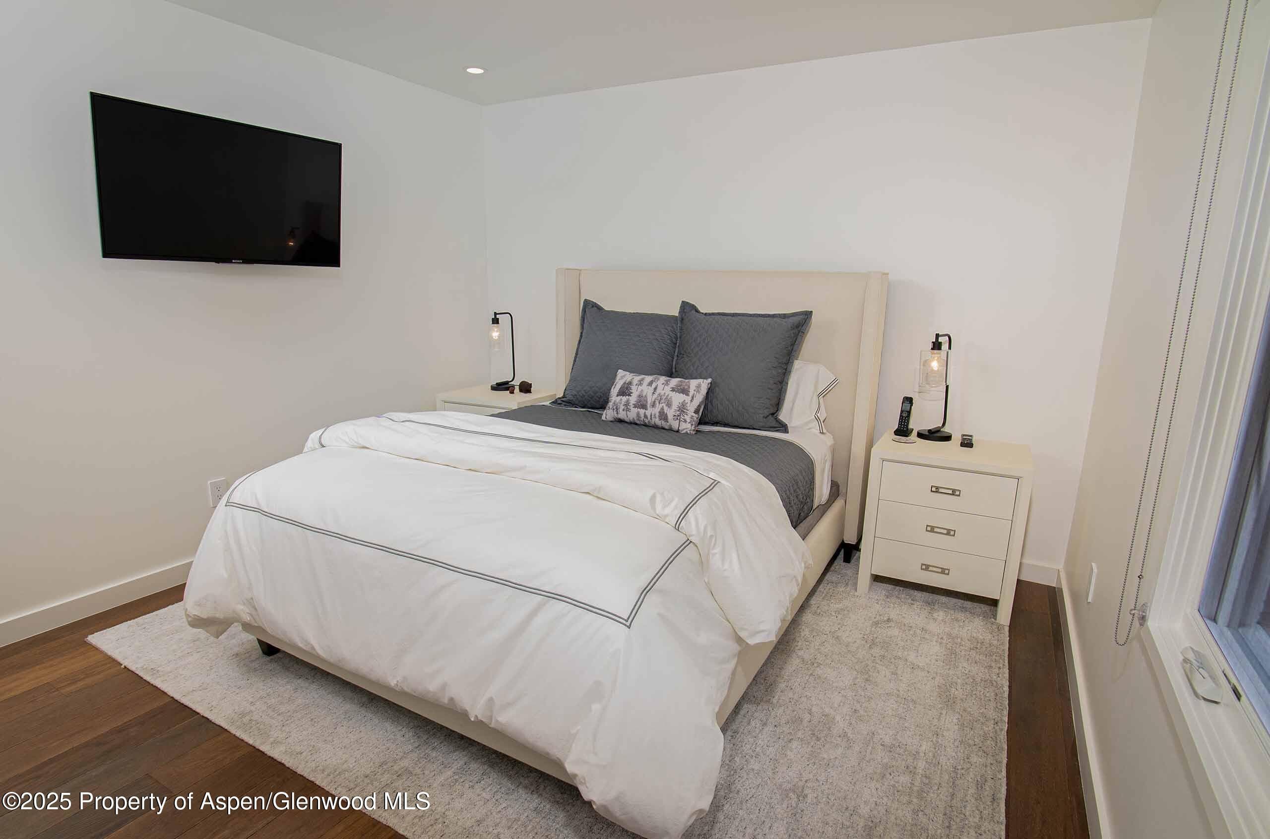 1018 E HYMAN Avenue Unit 1, Aspen, CO 81611 - Photo 13