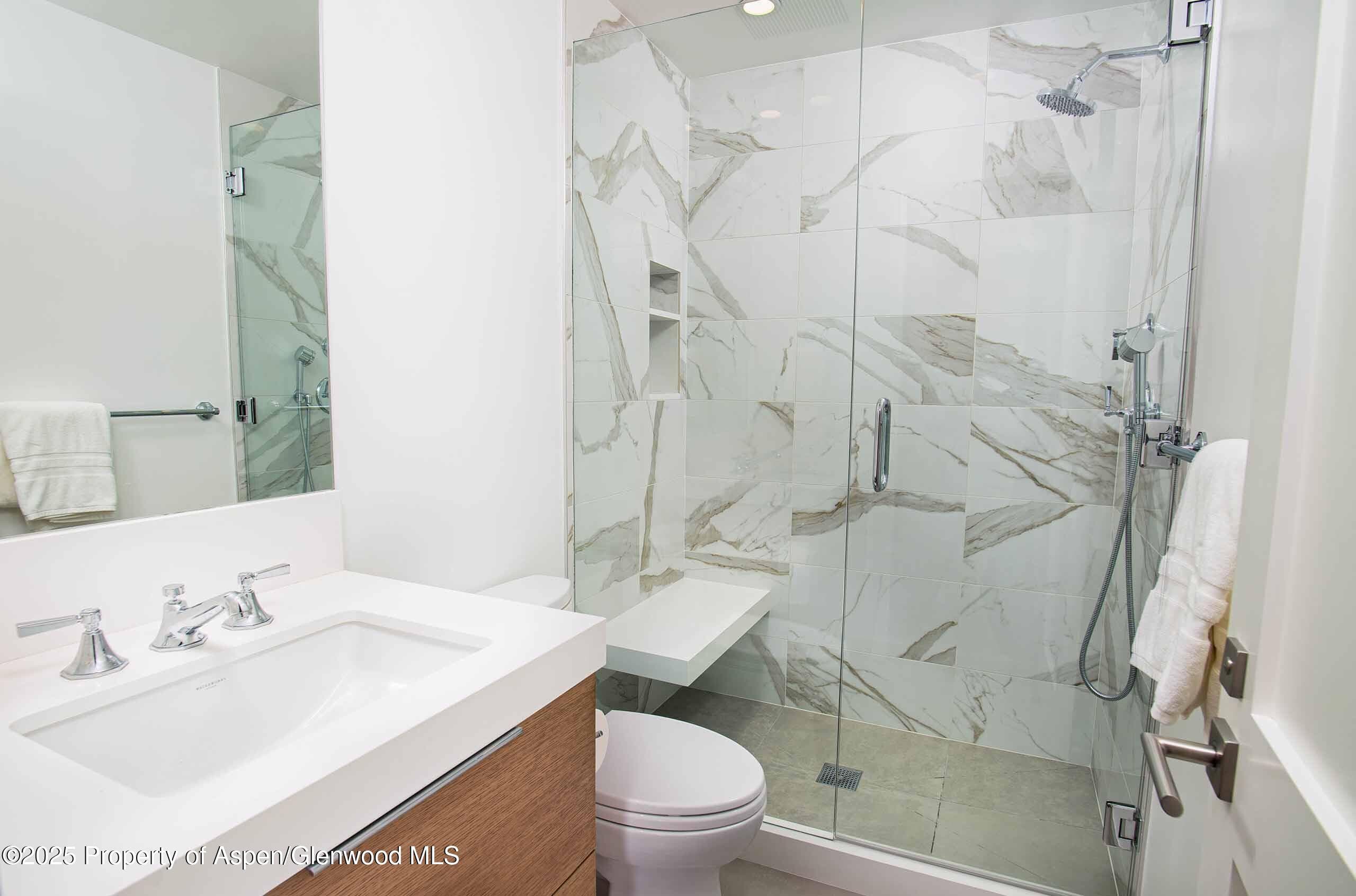 1018 E HYMAN Avenue Unit 1, Aspen, CO 81611 - Photo 14