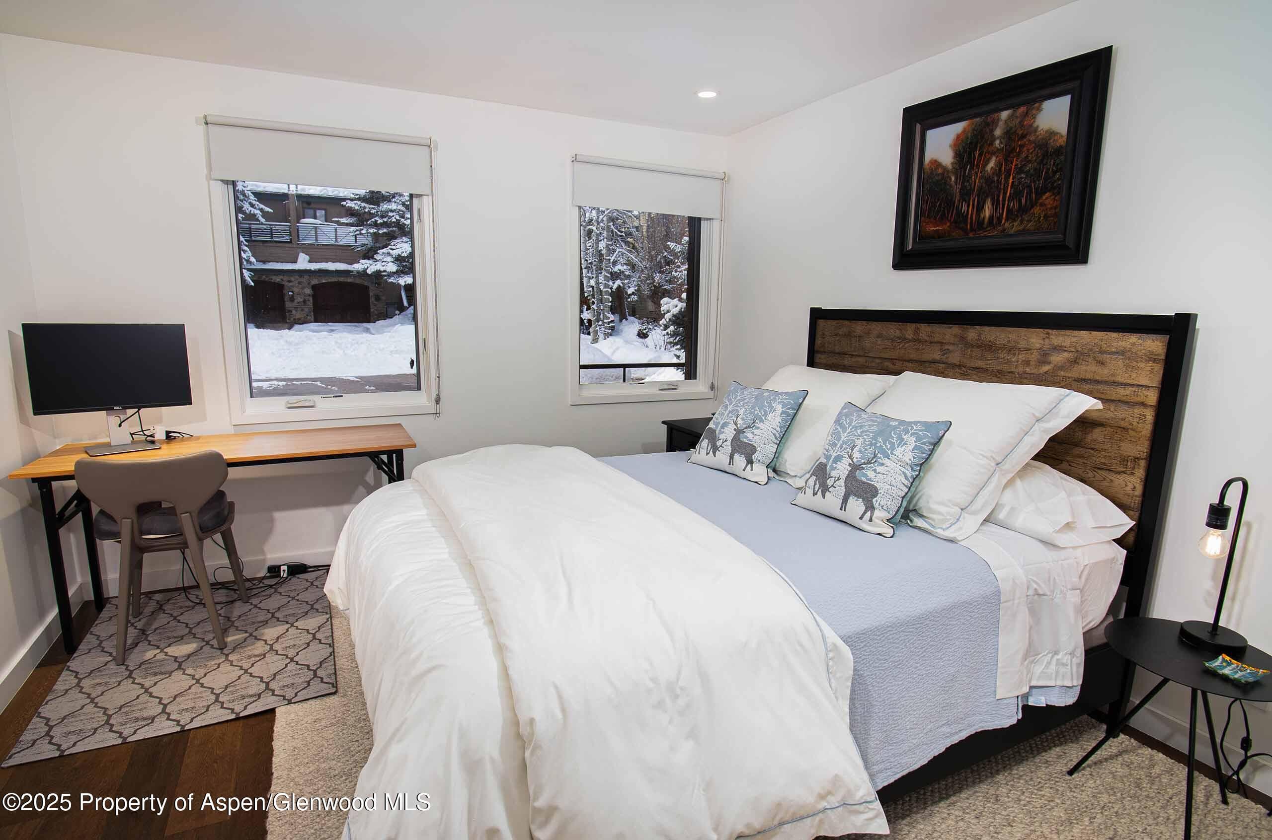 1018 E HYMAN Avenue Unit 1, Aspen, CO 81611 - Photo 15