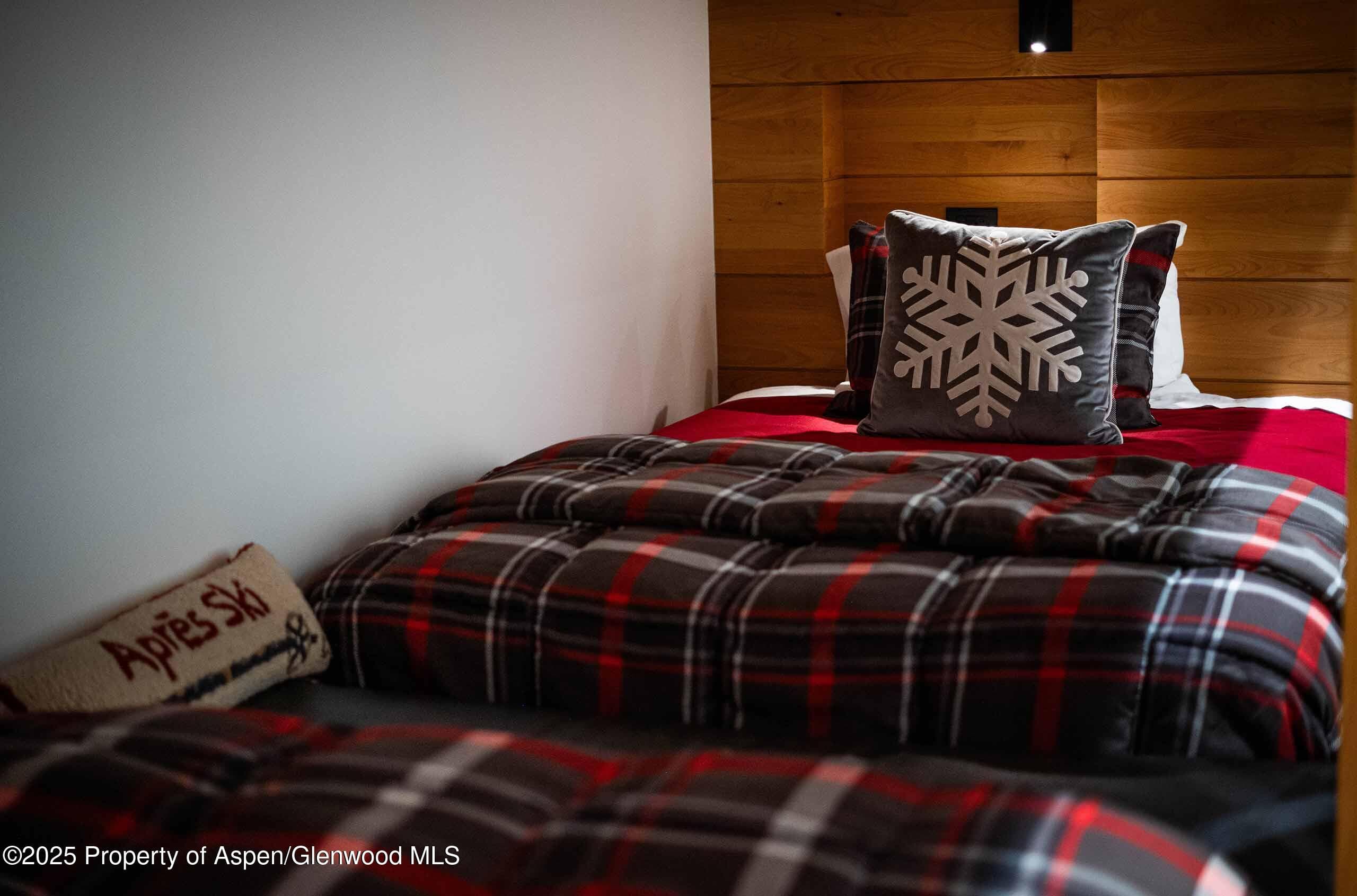 1018 E HYMAN Avenue Unit 1, Aspen, CO 81611 - Photo 20