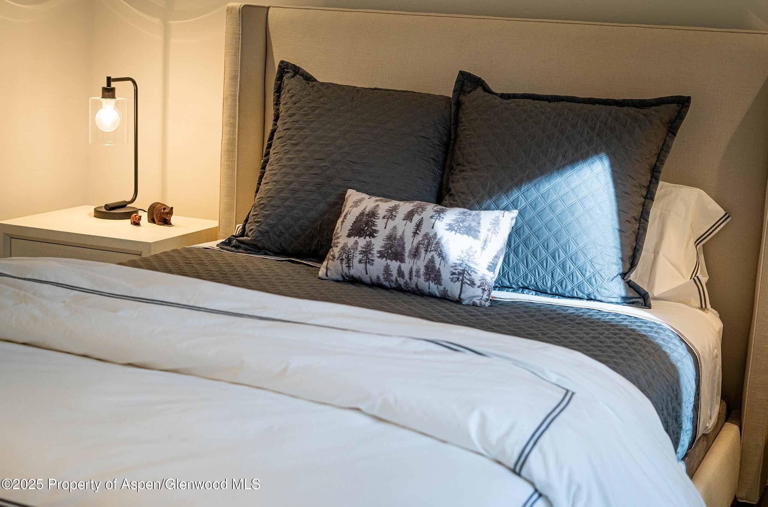1018 E HYMAN Avenue Unit 1, Aspen, CO 81611 - Photo 23