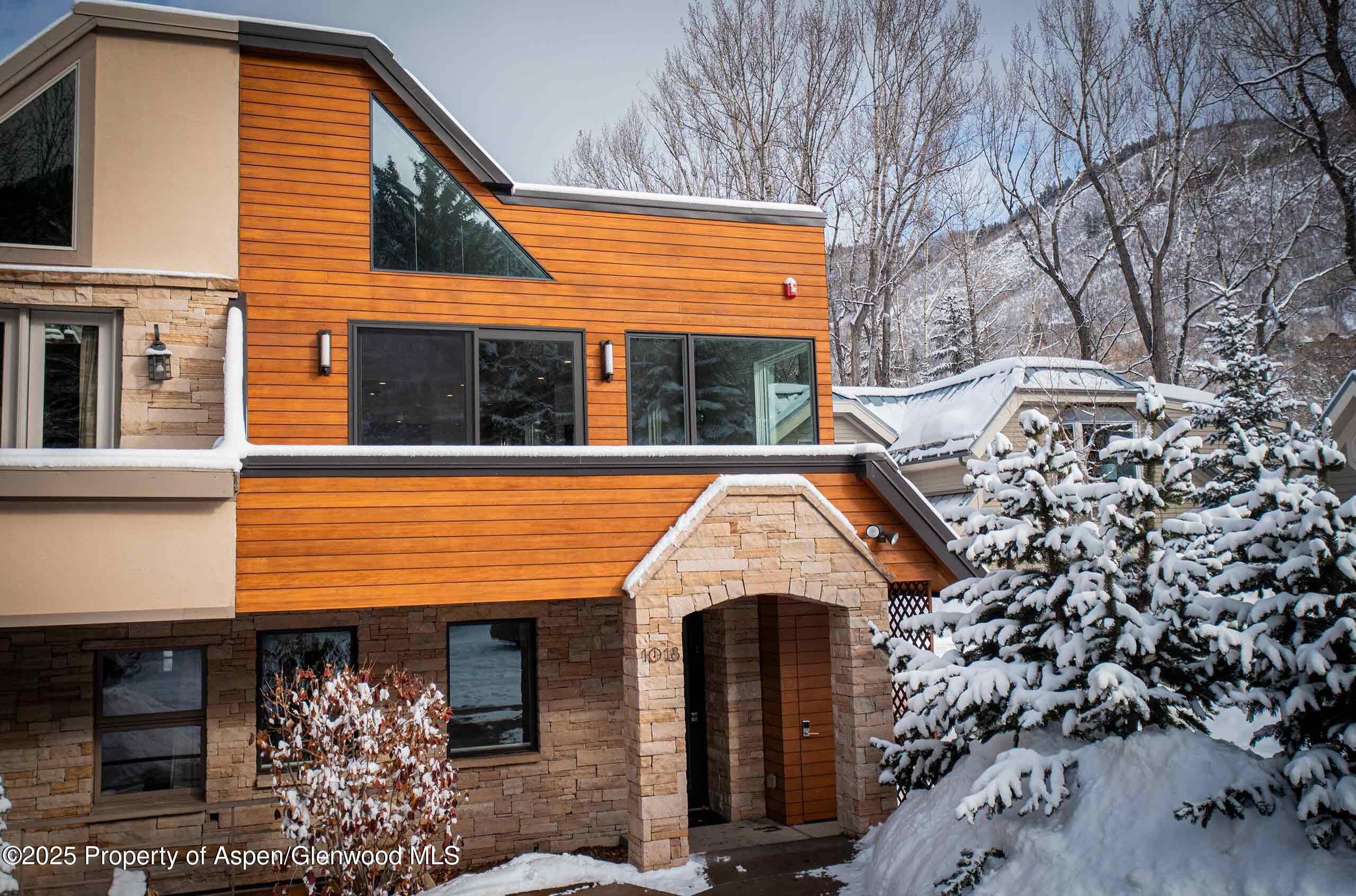 1018 E HYMAN Avenue Unit 1, Aspen, CO 81611 - Photo 28