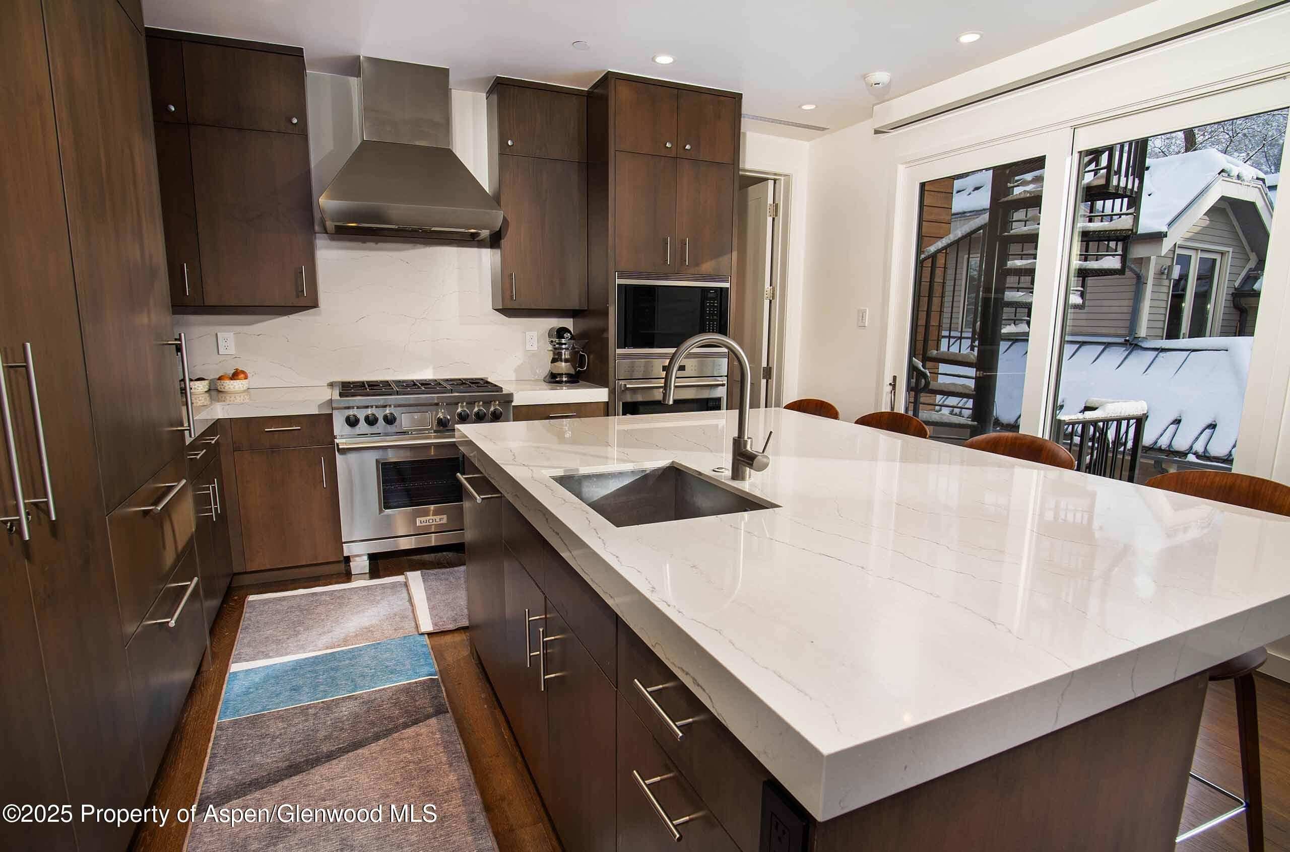 1018 E HYMAN Avenue Unit 1, Aspen, CO 81611 - Photo 4