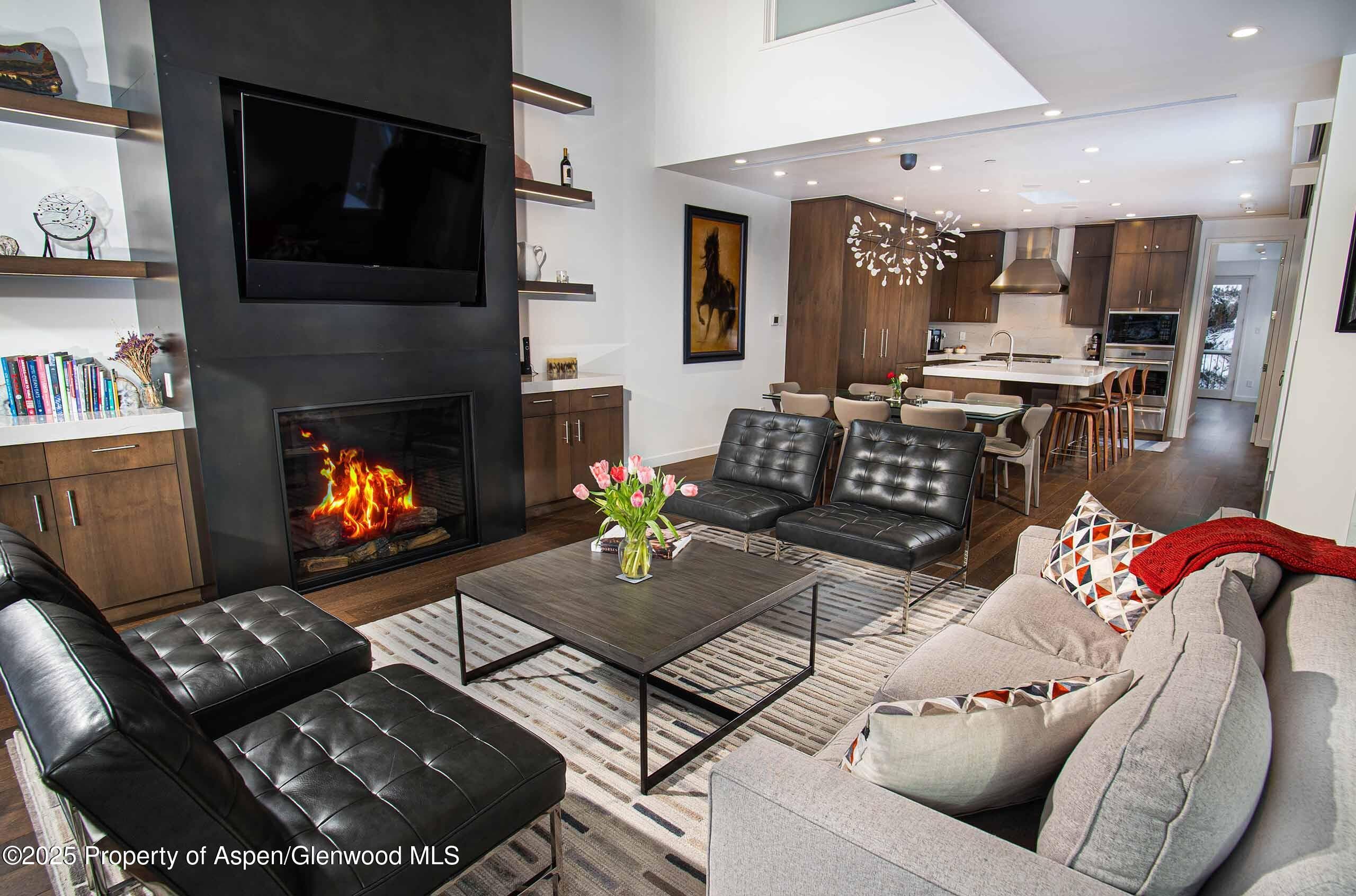 1018 E HYMAN Avenue Unit 1, Aspen, CO 81611 - Photo 22