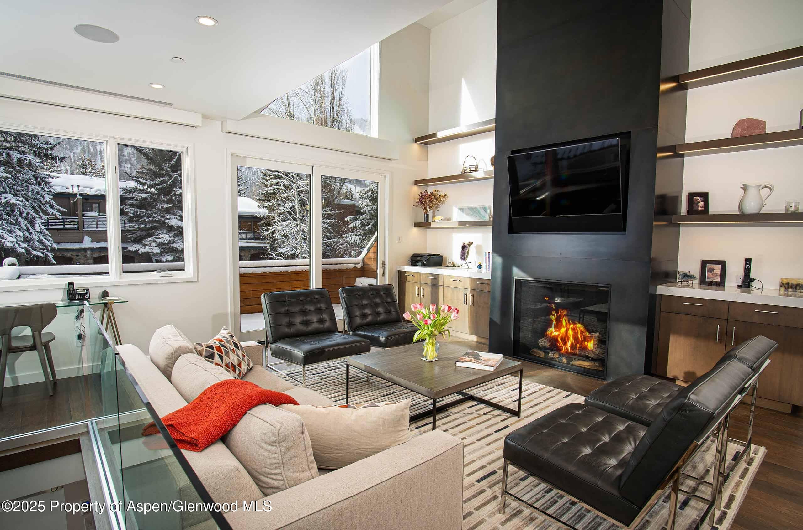 1018 E HYMAN Avenue Unit 1, Aspen, CO 81611 - Photo 2