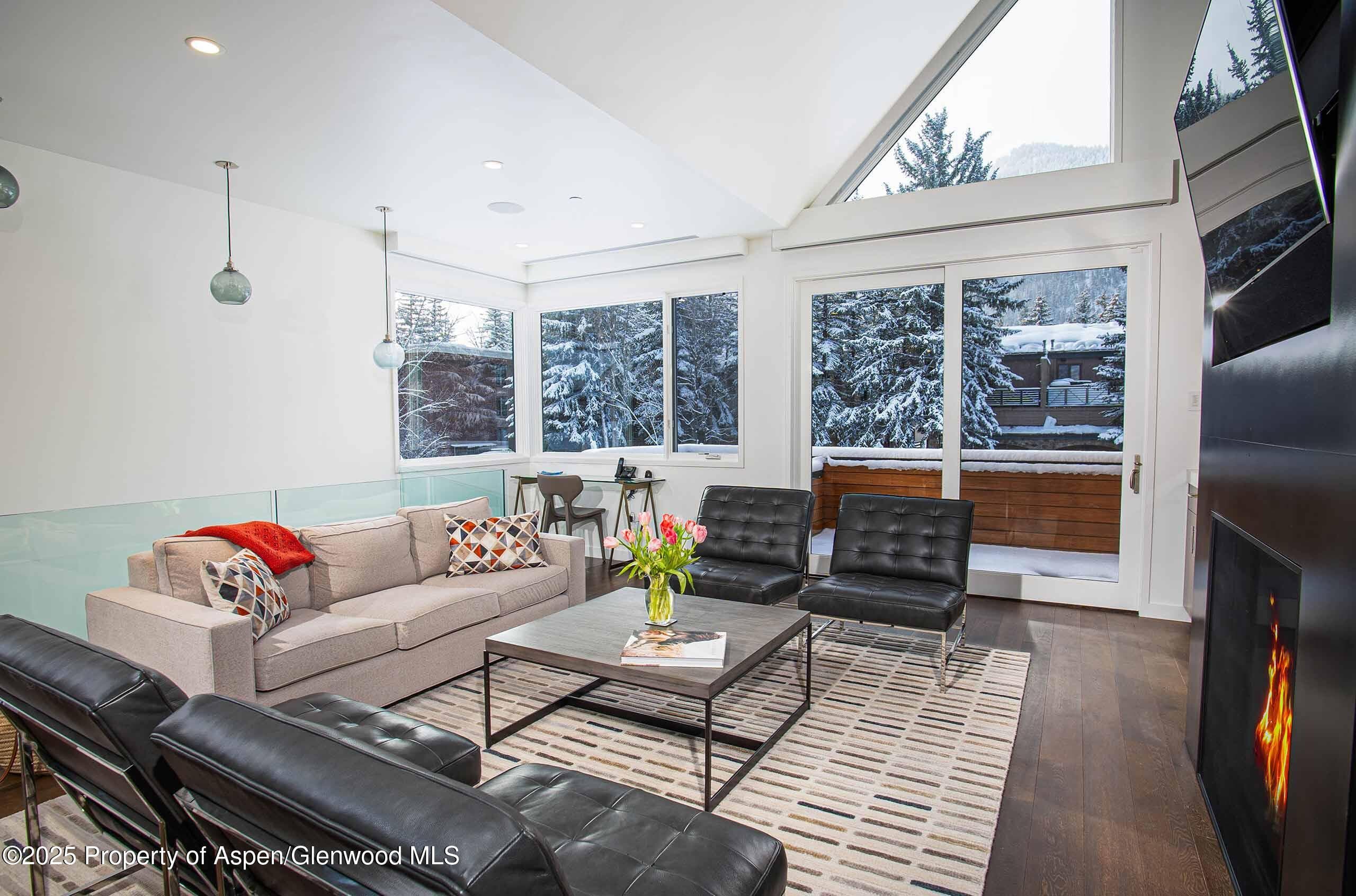1018 E HYMAN Avenue Unit 1, Aspen, CO 81611 - Photo 5