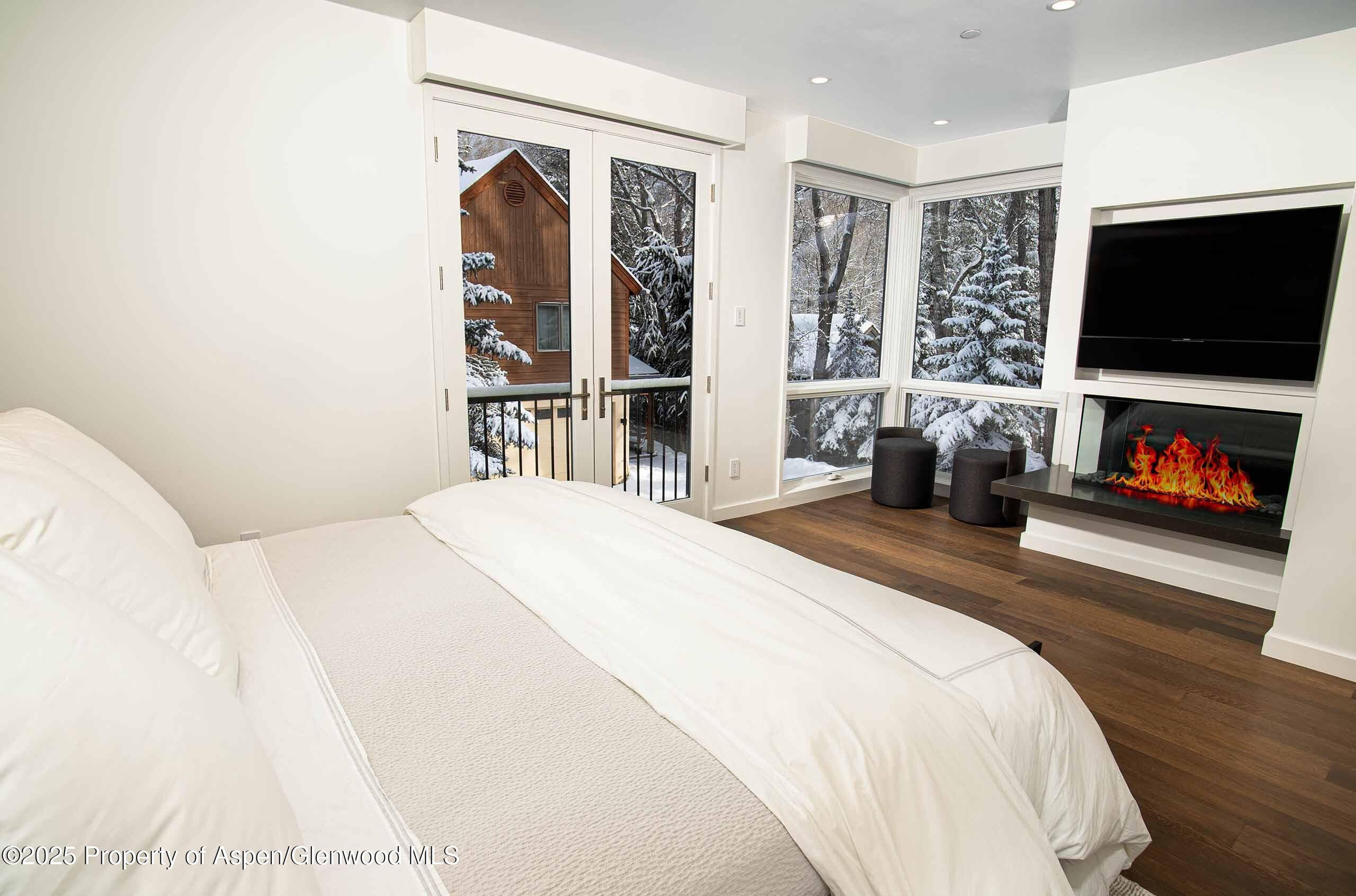 1018 E HYMAN Avenue Unit 1, Aspen, CO 81611 - Photo 6