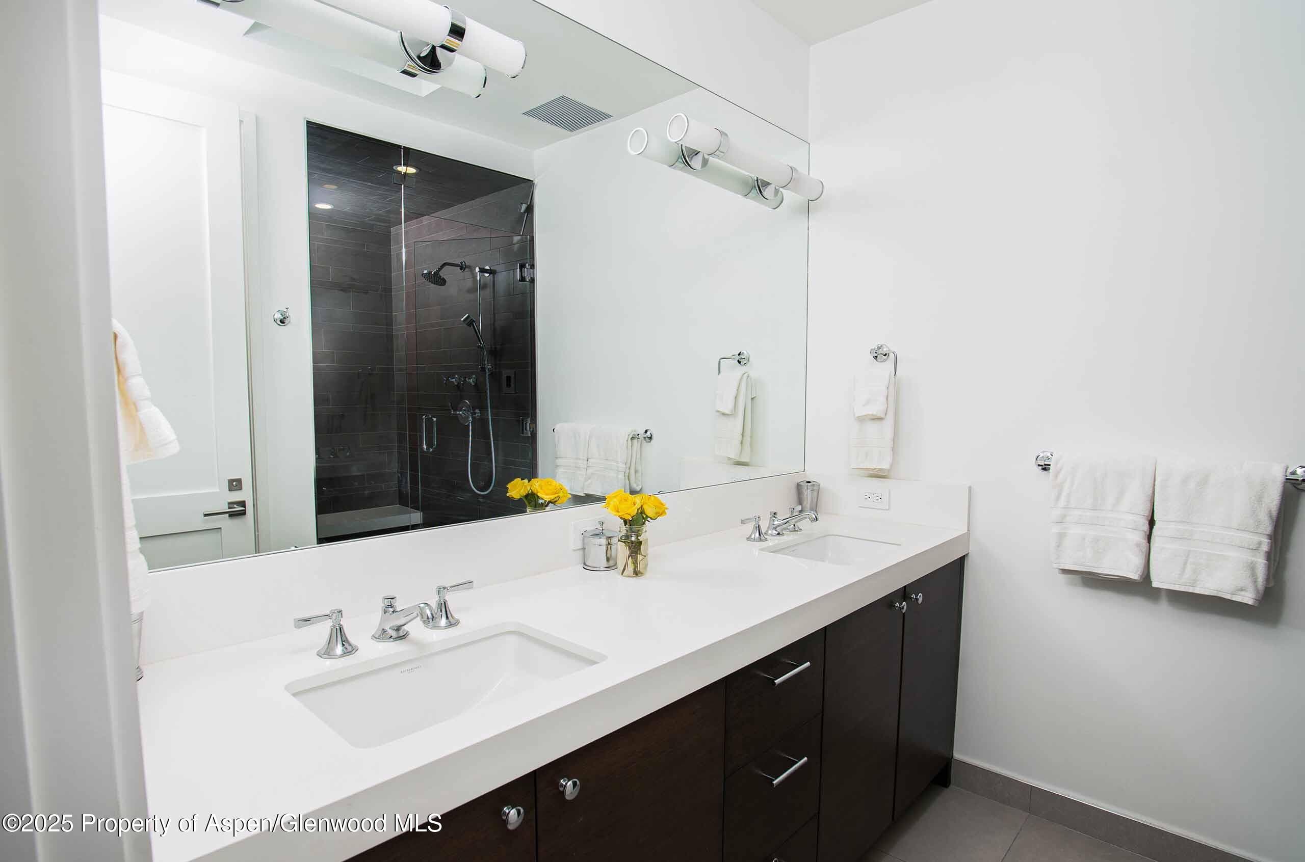 1018 E HYMAN Avenue Unit 1, Aspen, CO 81611 - Photo 8
