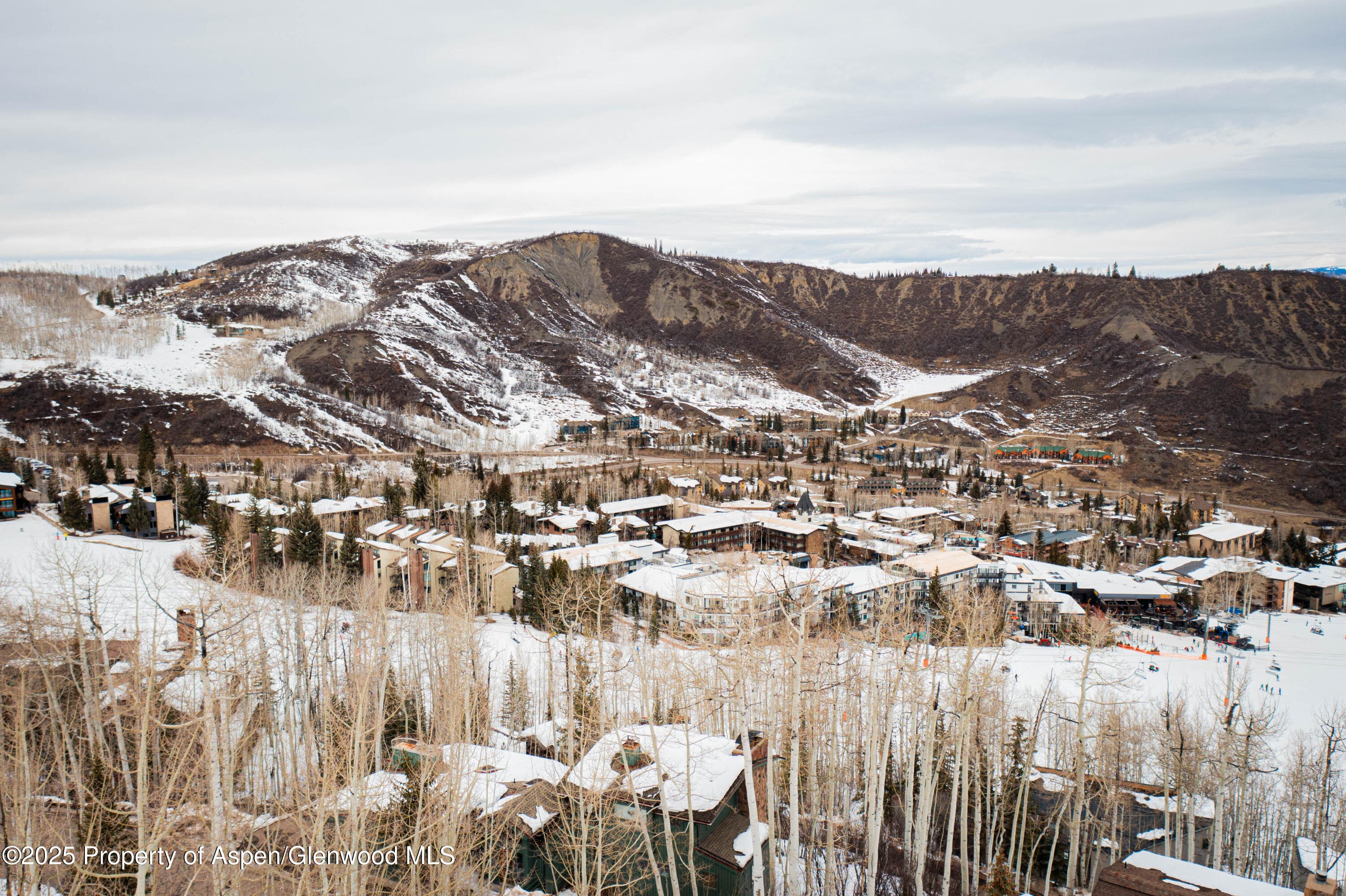 306 EDGEWOOD Lane, Snowmass Village, CO 81615 - Photo 29