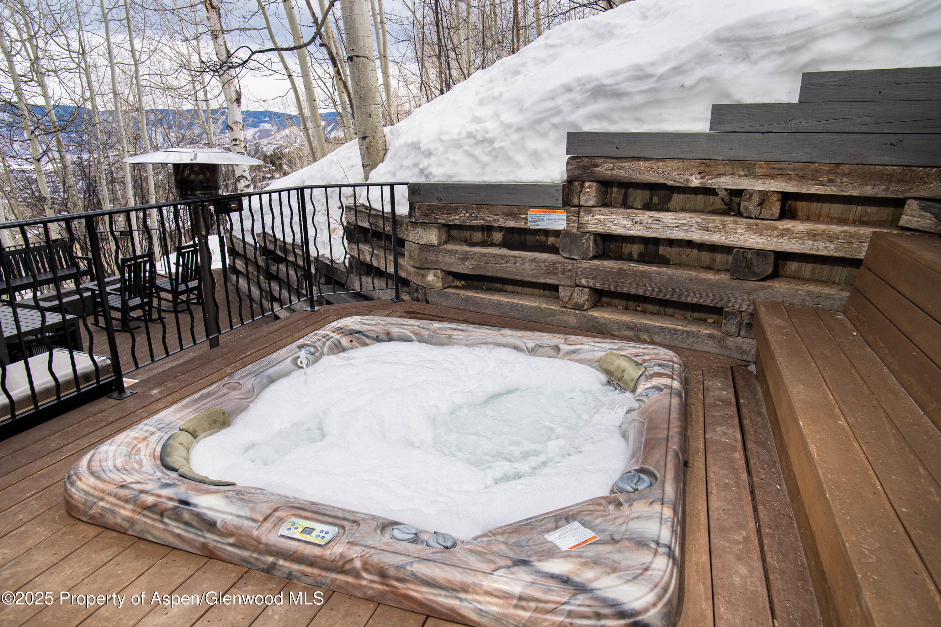 306 EDGEWOOD Lane, Snowmass Village, CO 81615 - Photo 30