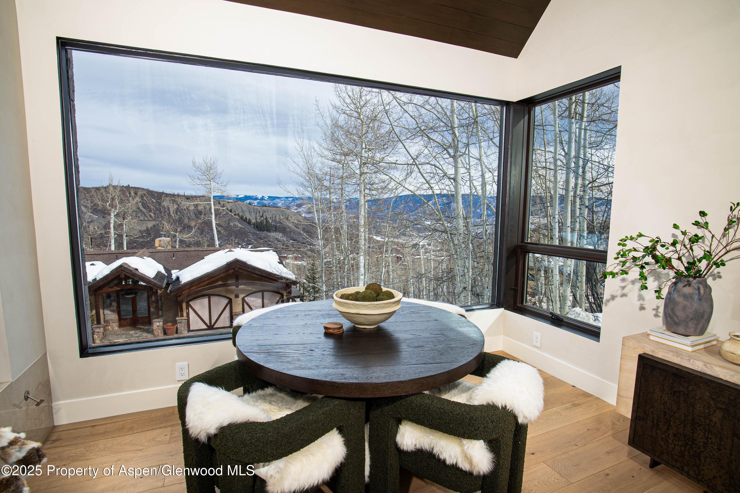 306 EDGEWOOD Lane, Snowmass Village, CO 81615 - Photo 31